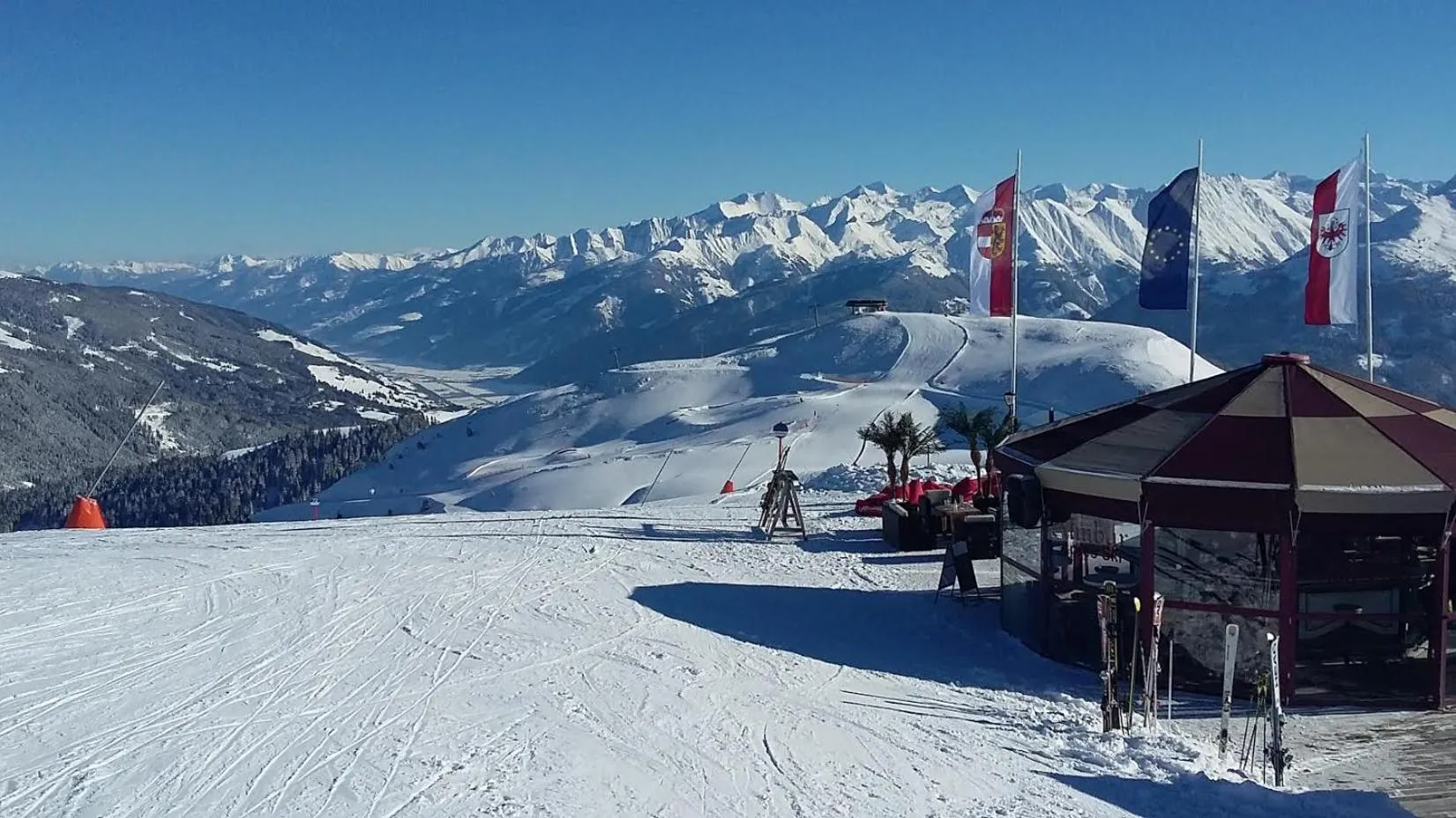 Natural landscape in Alphotel Mittersill