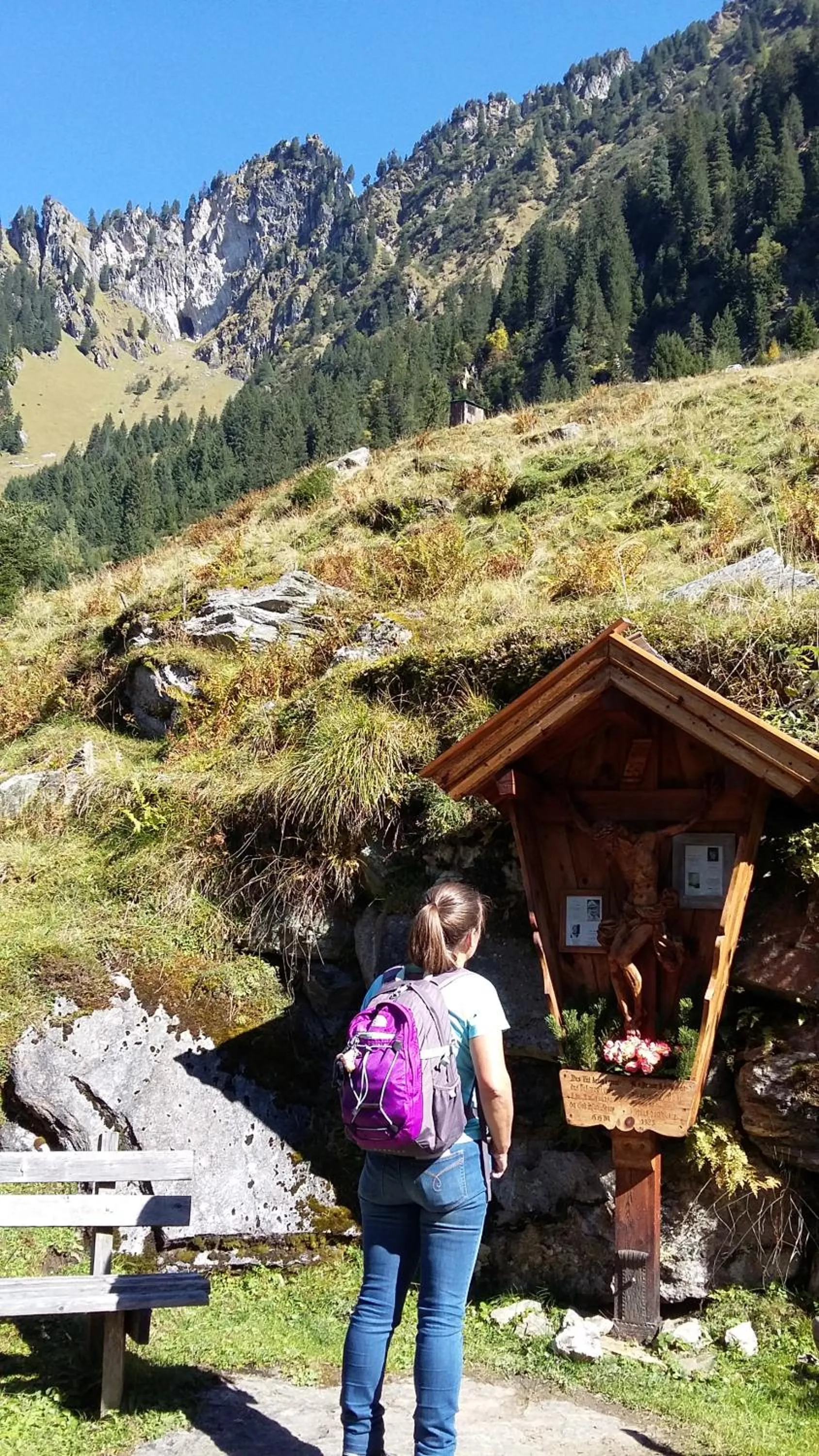 Hiking in Alphotel Mittersill