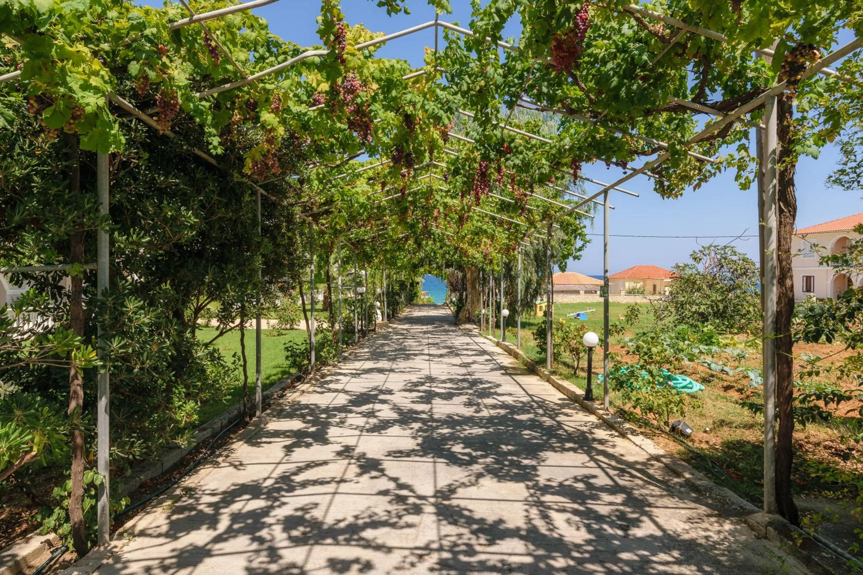 Garden in Belussi Beach Hotel & Suites