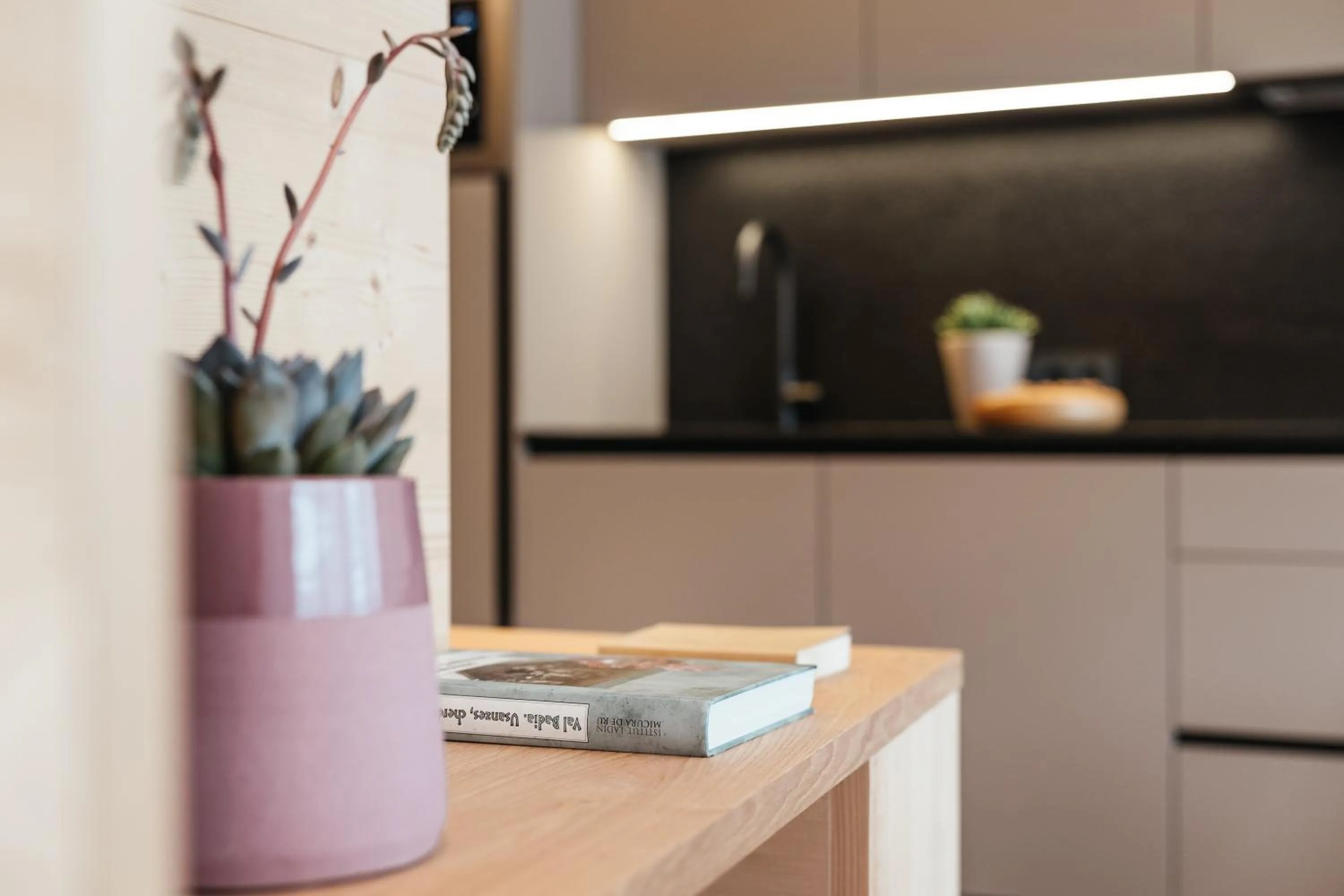 Kitchen or kitchenette in Residence Villa Trieste