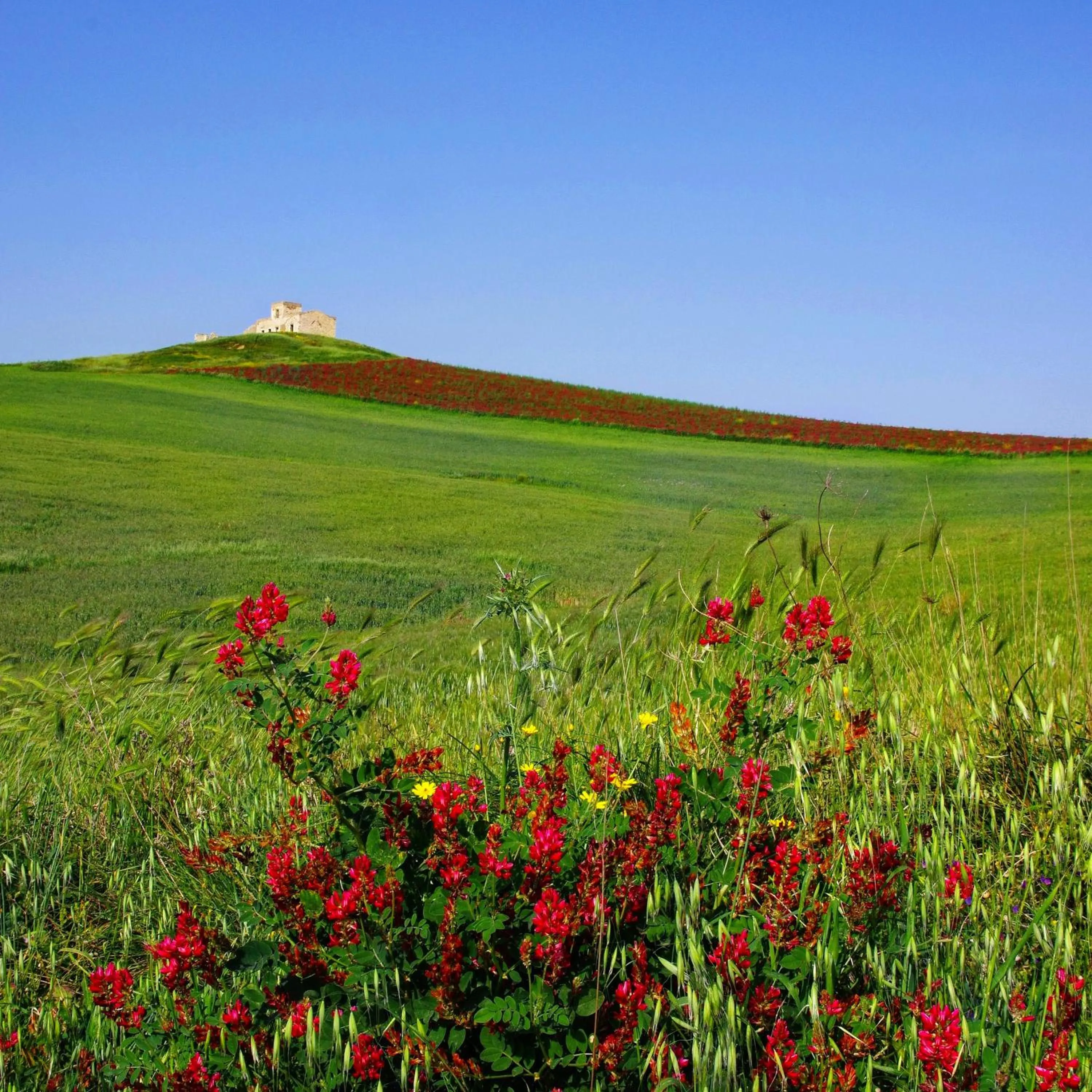 B&B Polvere di stelle