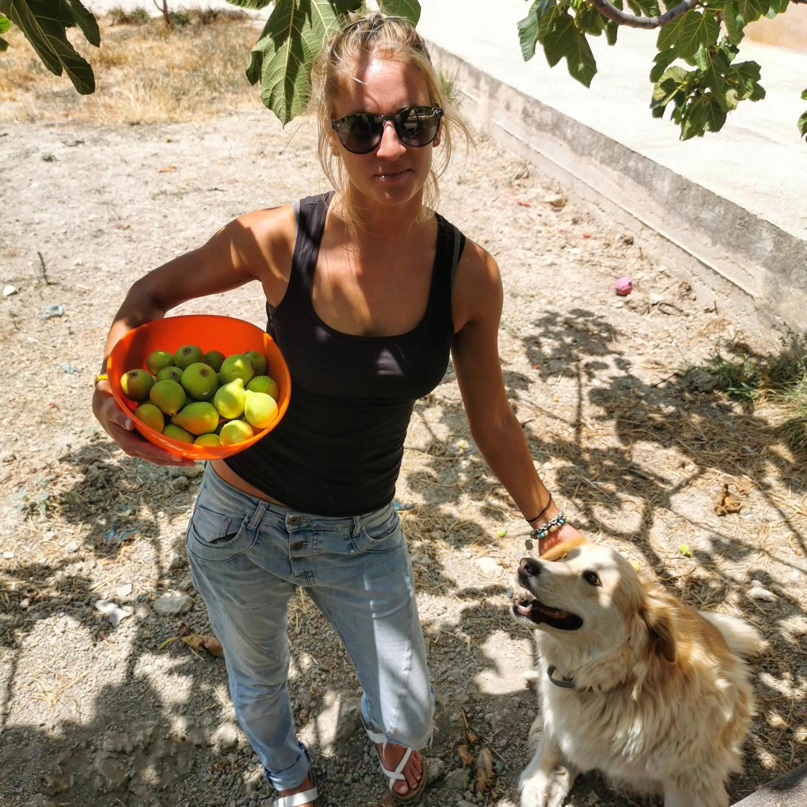 B&B Polvere di stelle