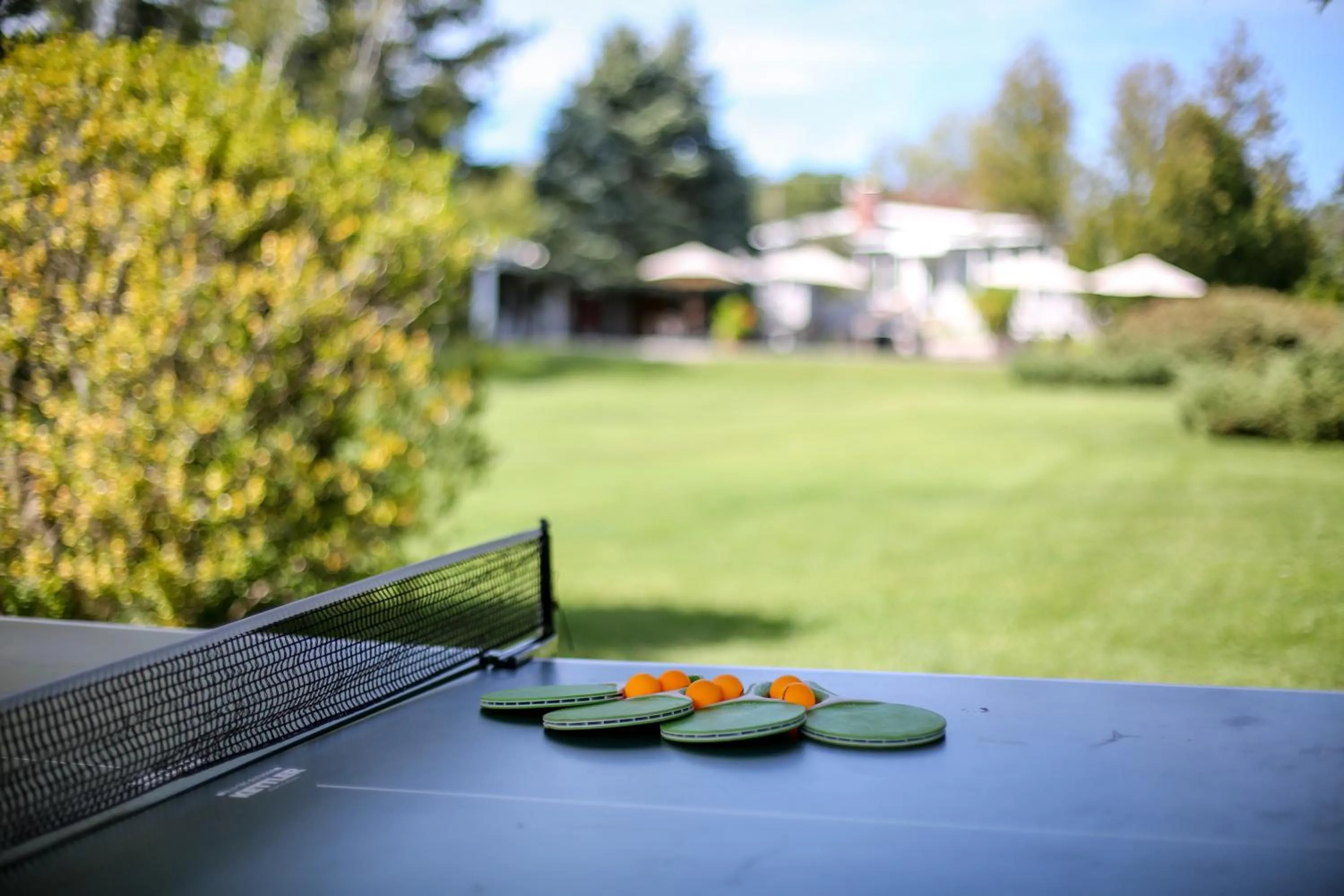 Table tennis in Hamlet Inn