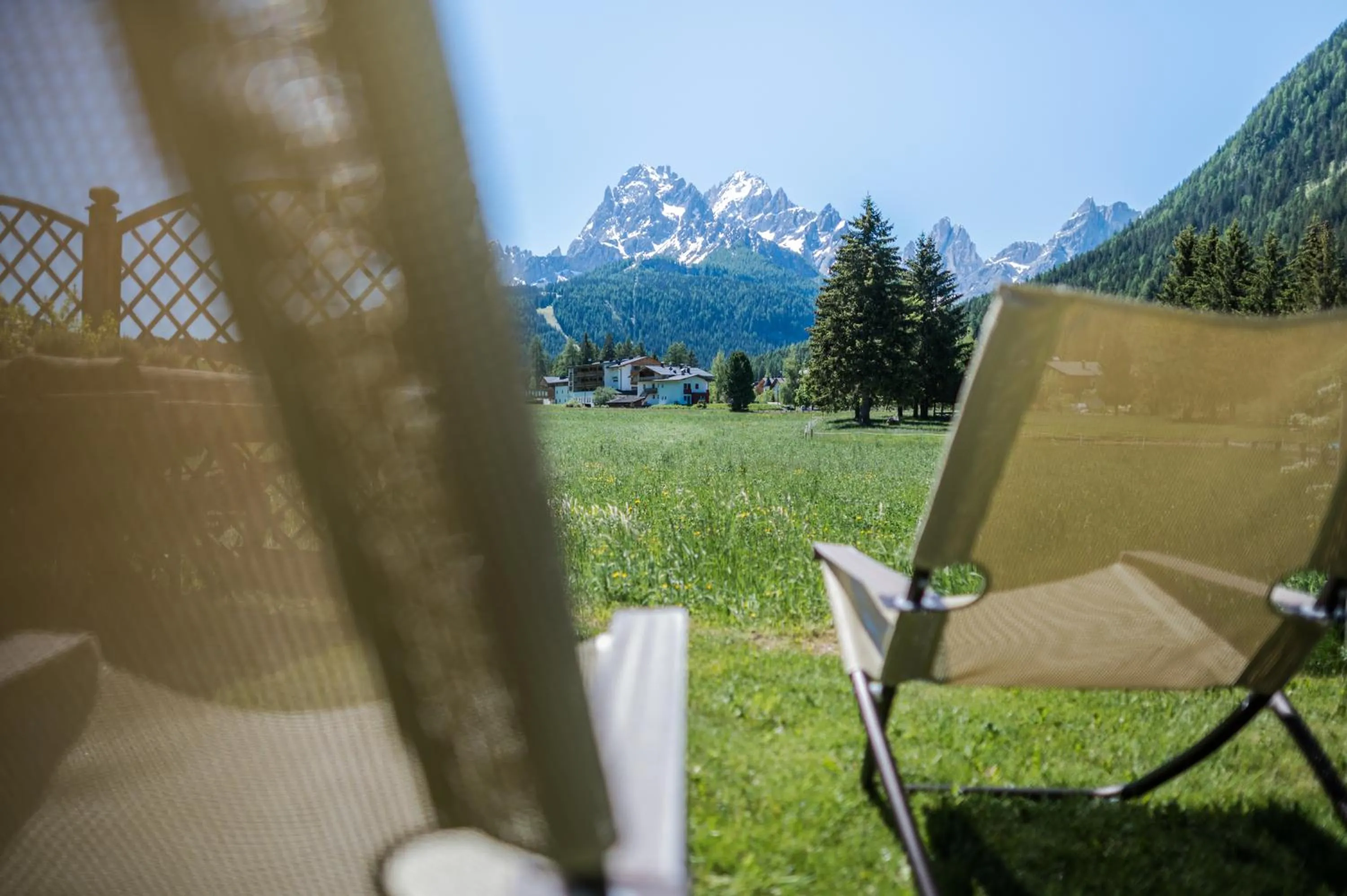 Garden in Hotel Waldheim
