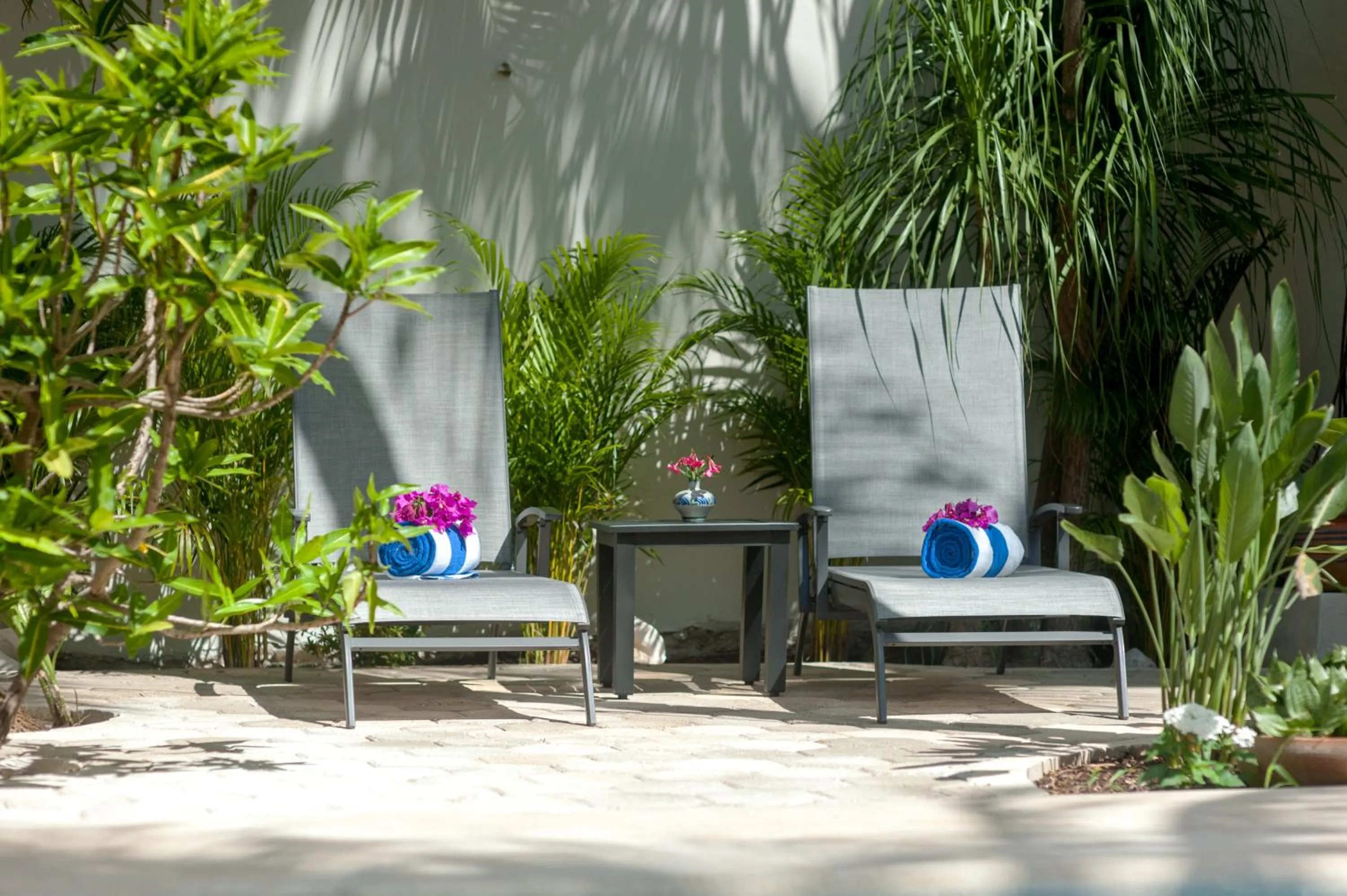 Garden in Casa Sonoma - Charming Condos Minutes from Beach & Reef