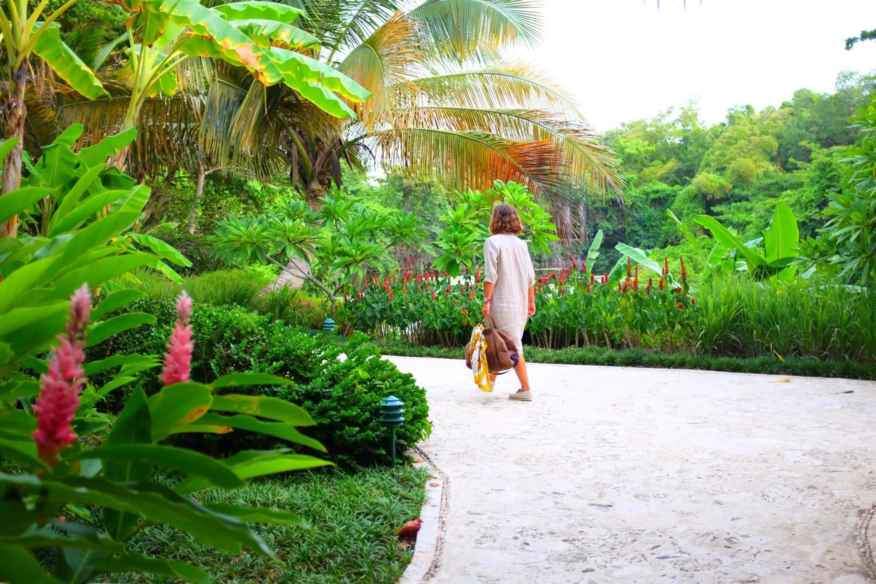 Garden in Casa Colonial Beach & Spa