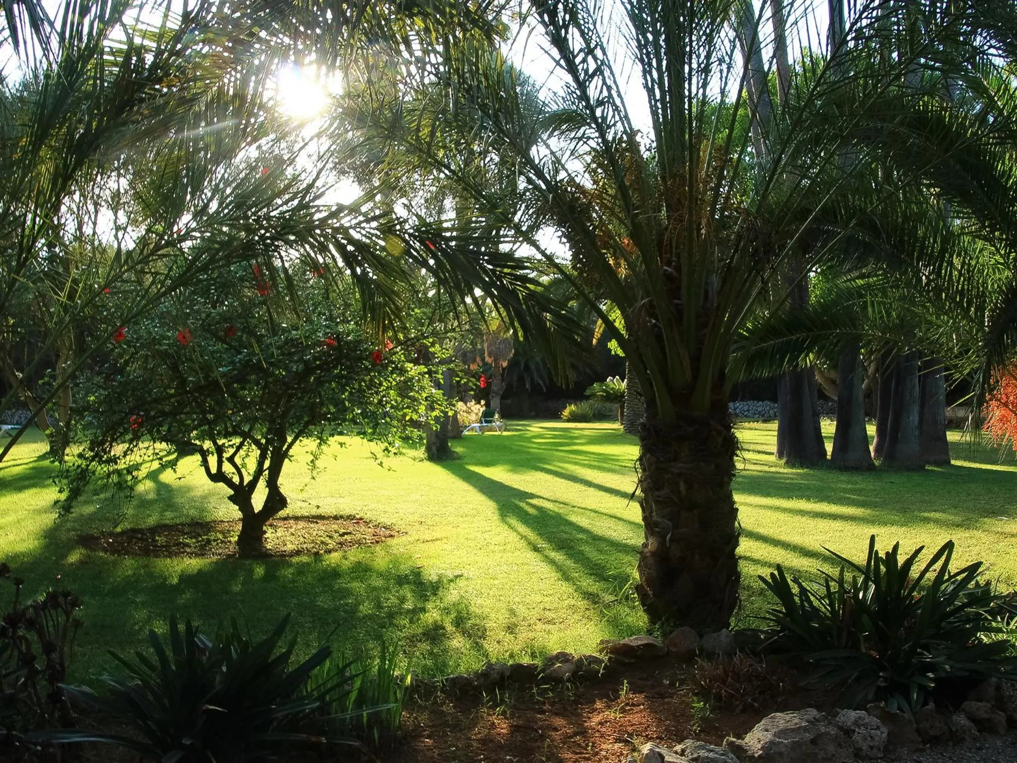 Garden in Finca Hotel Rural Predio Son Serra