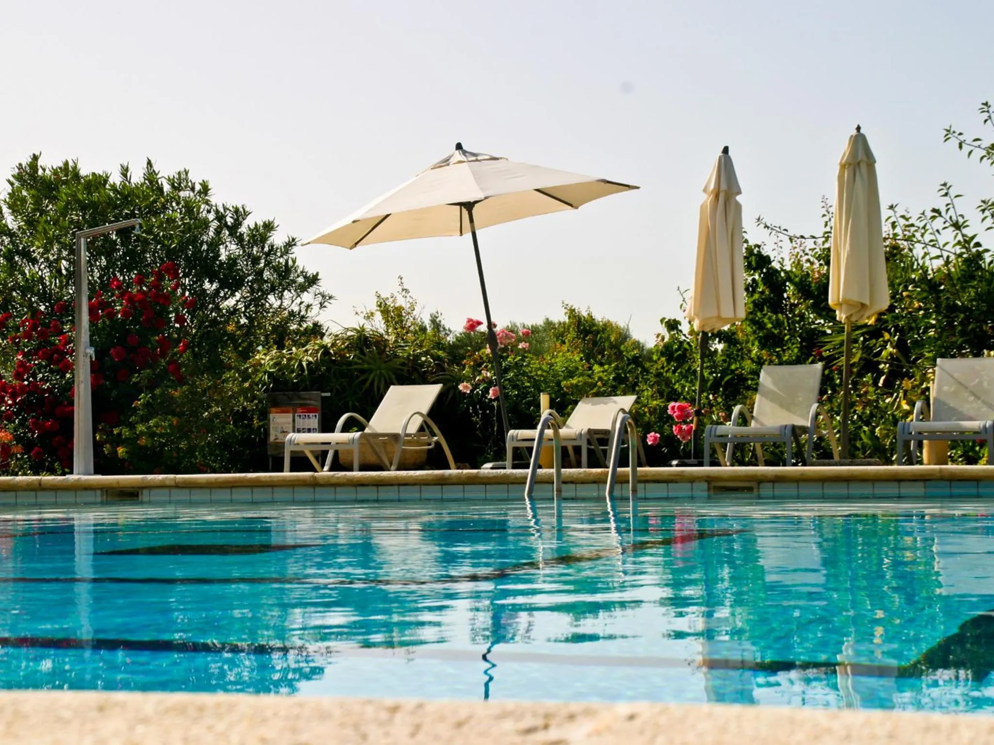 Swimming pool in Finca Hotel Rural Predio Son Serra
