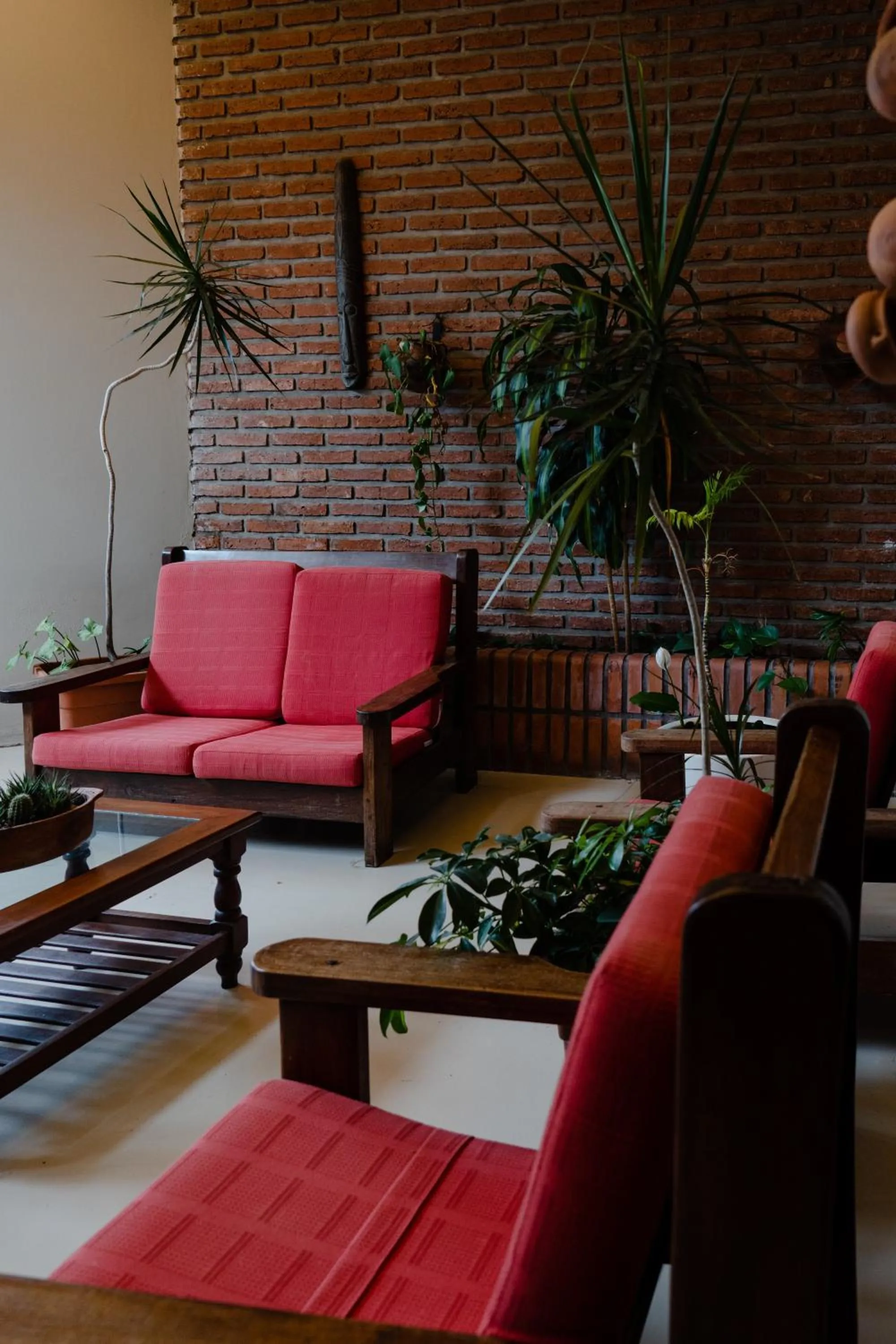 Munay San Salvador de Jujuy