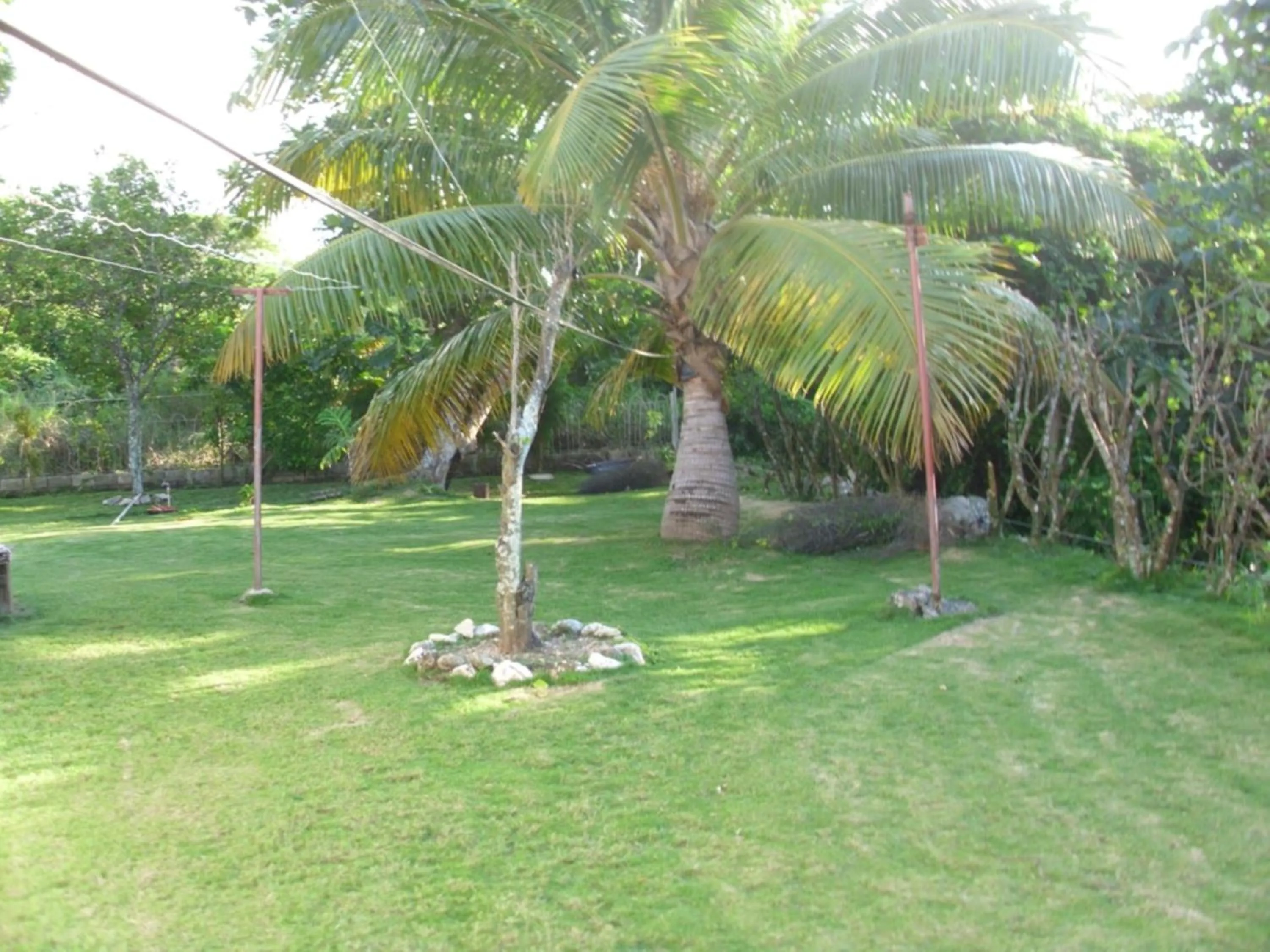 Garden in Whistling Villa Runaway Bay