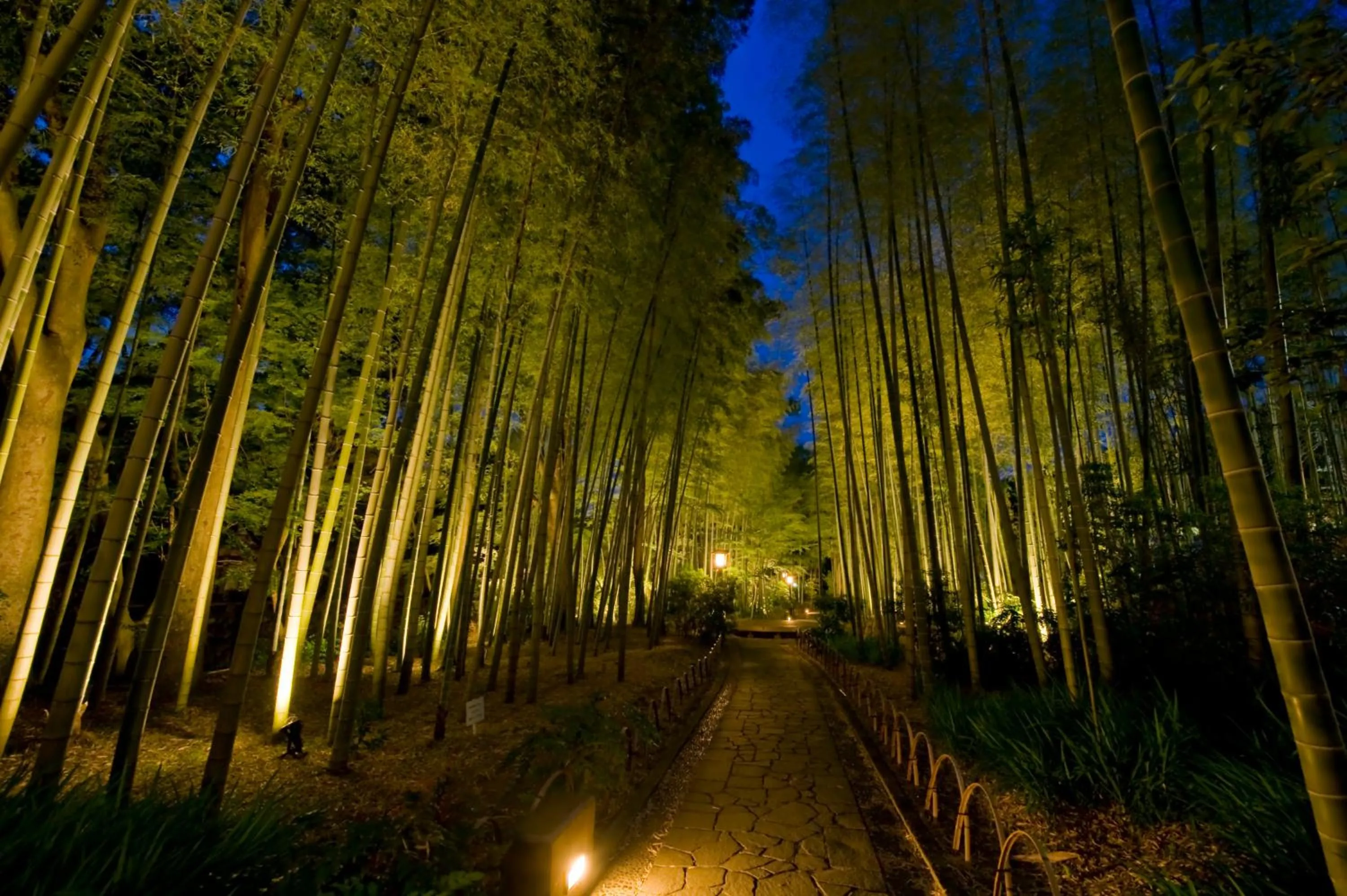Nearby landmark in Marukyu Ryokan
