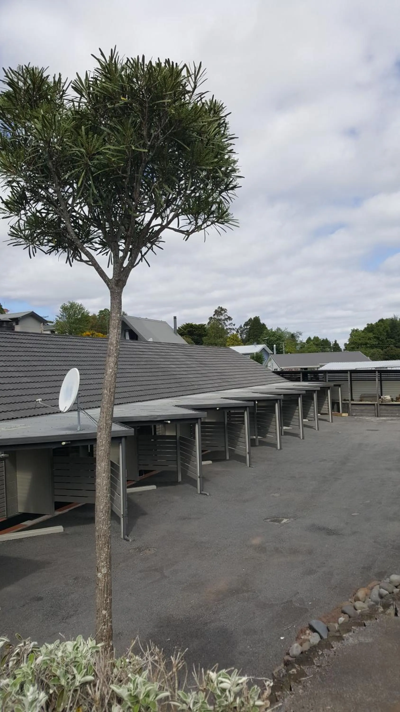 Ruapehu Mountain Motel & Lodge