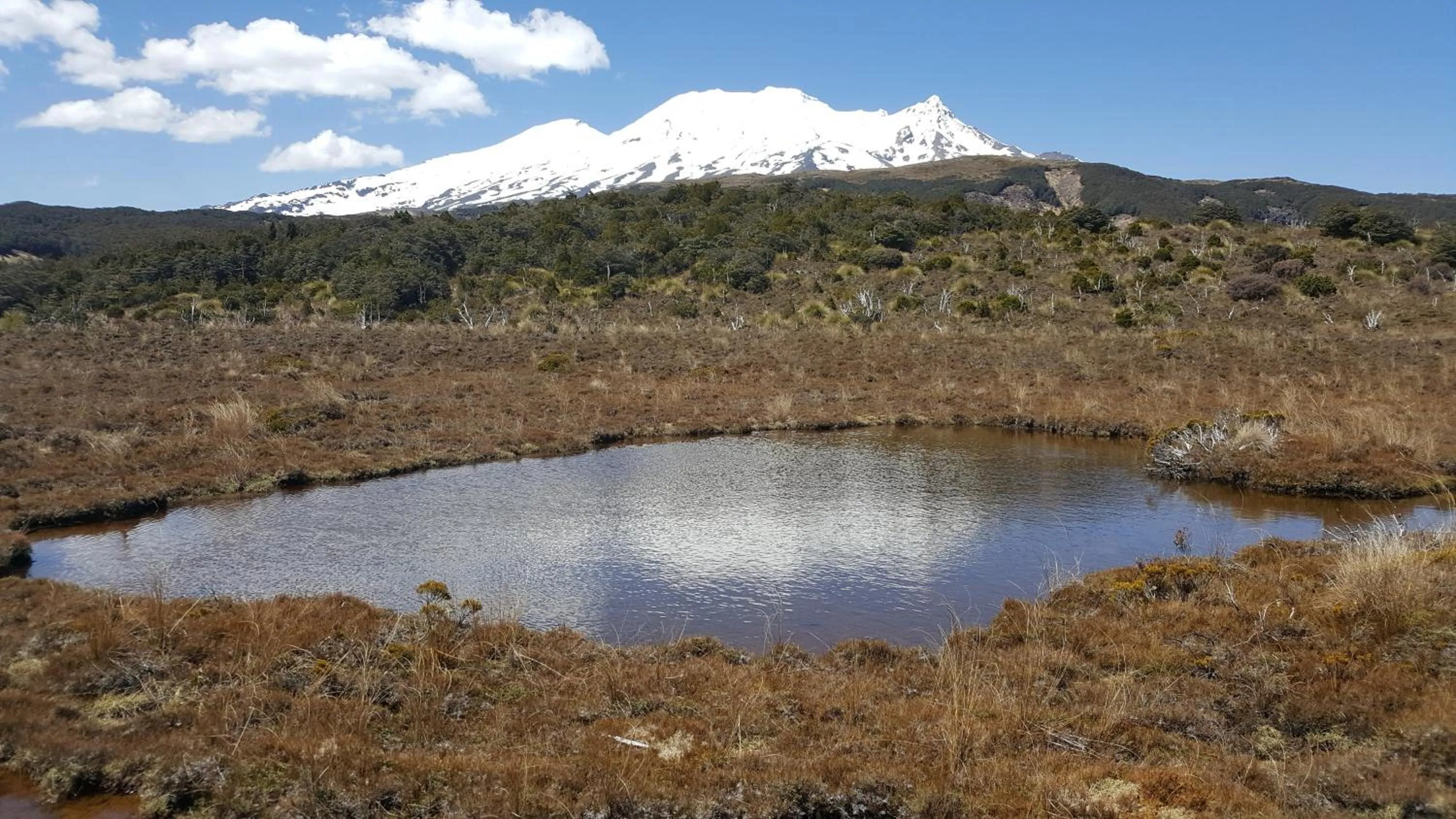 Hiking in Ruapehu Mountain Motel & Lodge