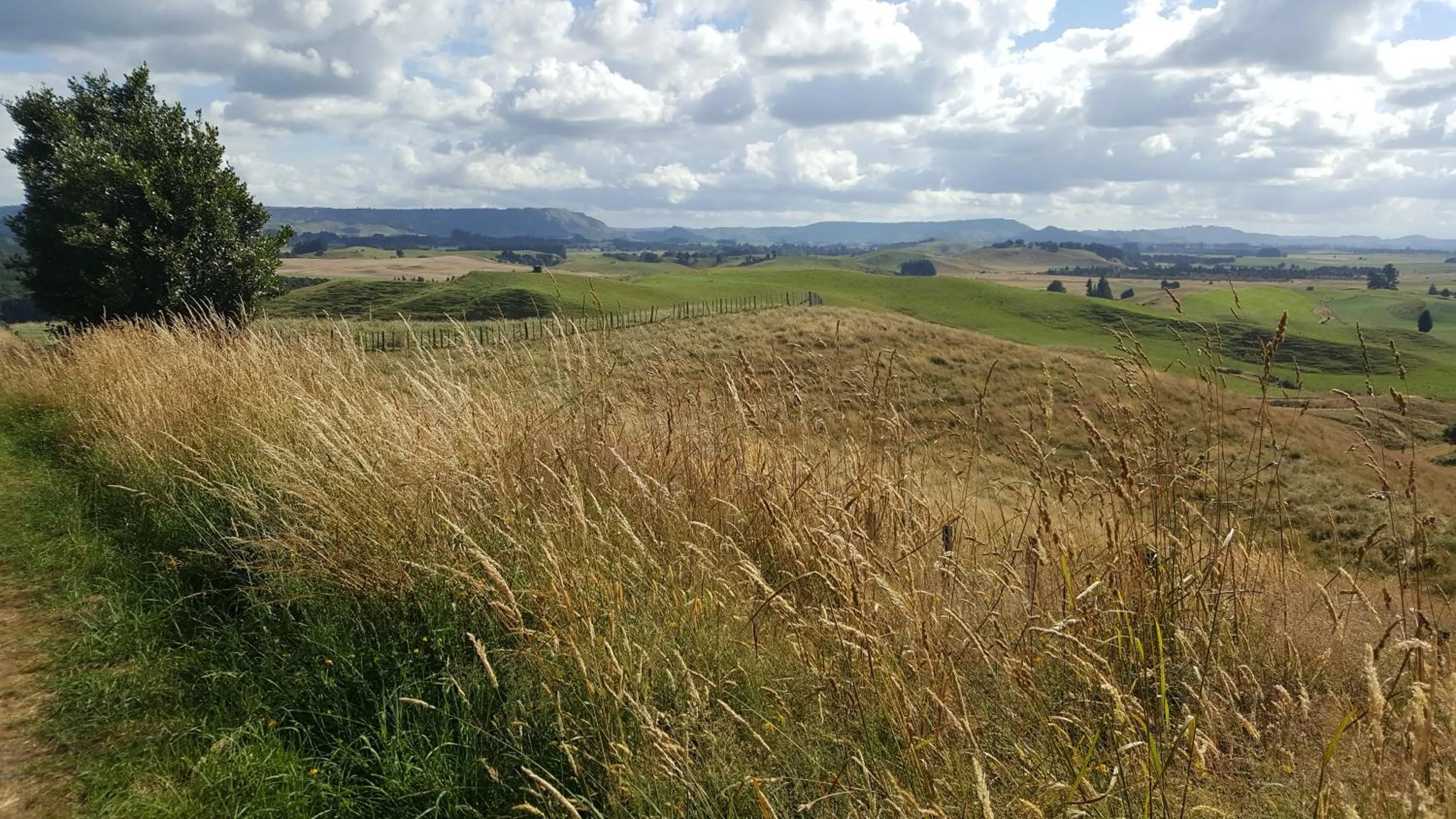 Ruapehu Mountain Motel & Lodge