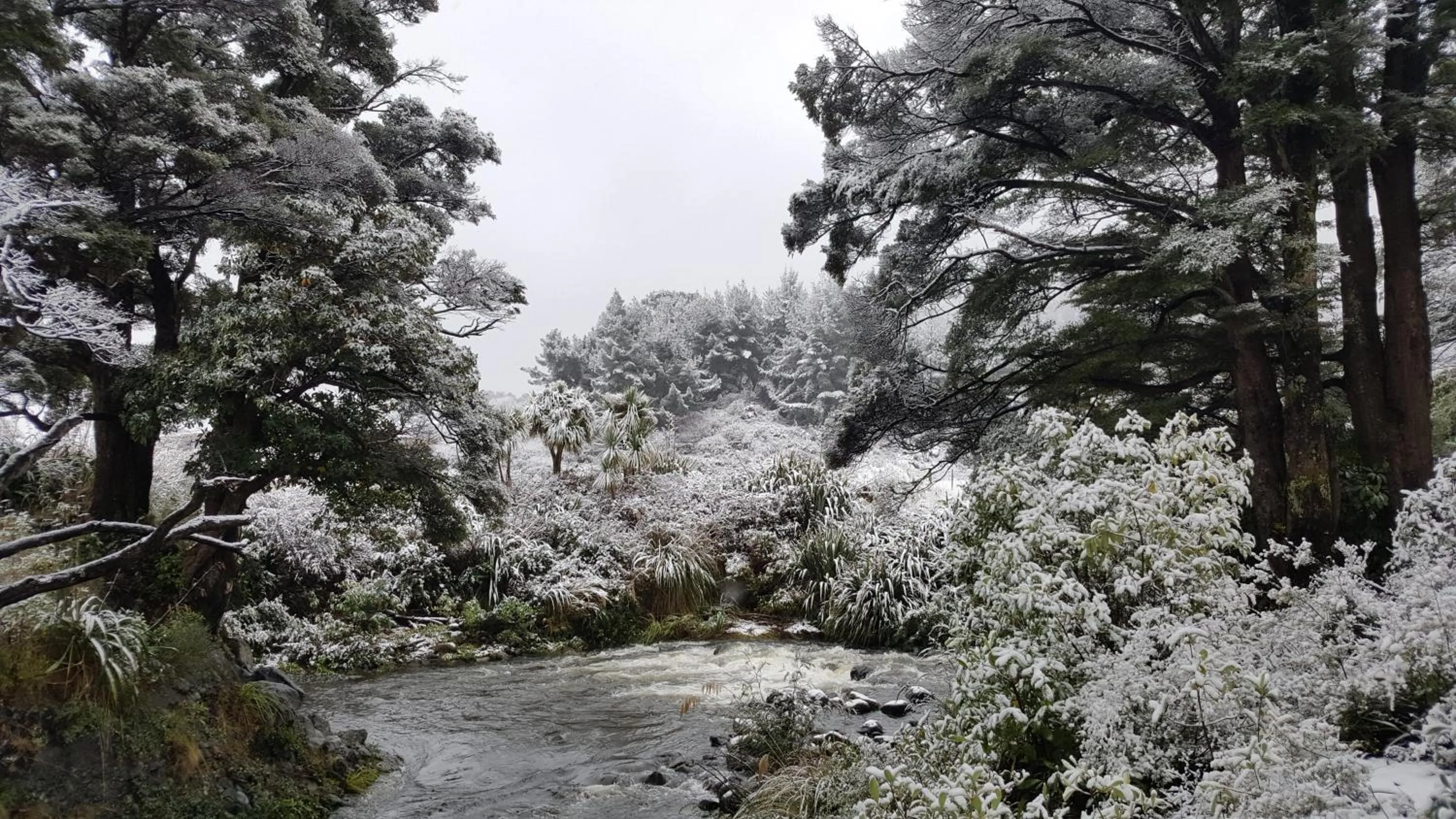 Ruapehu Mountain Motel & Lodge