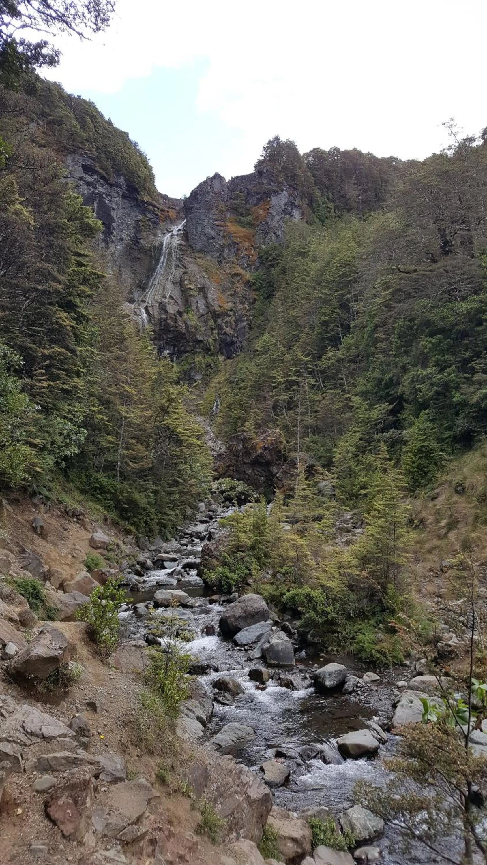 Ruapehu Mountain Motel & Lodge