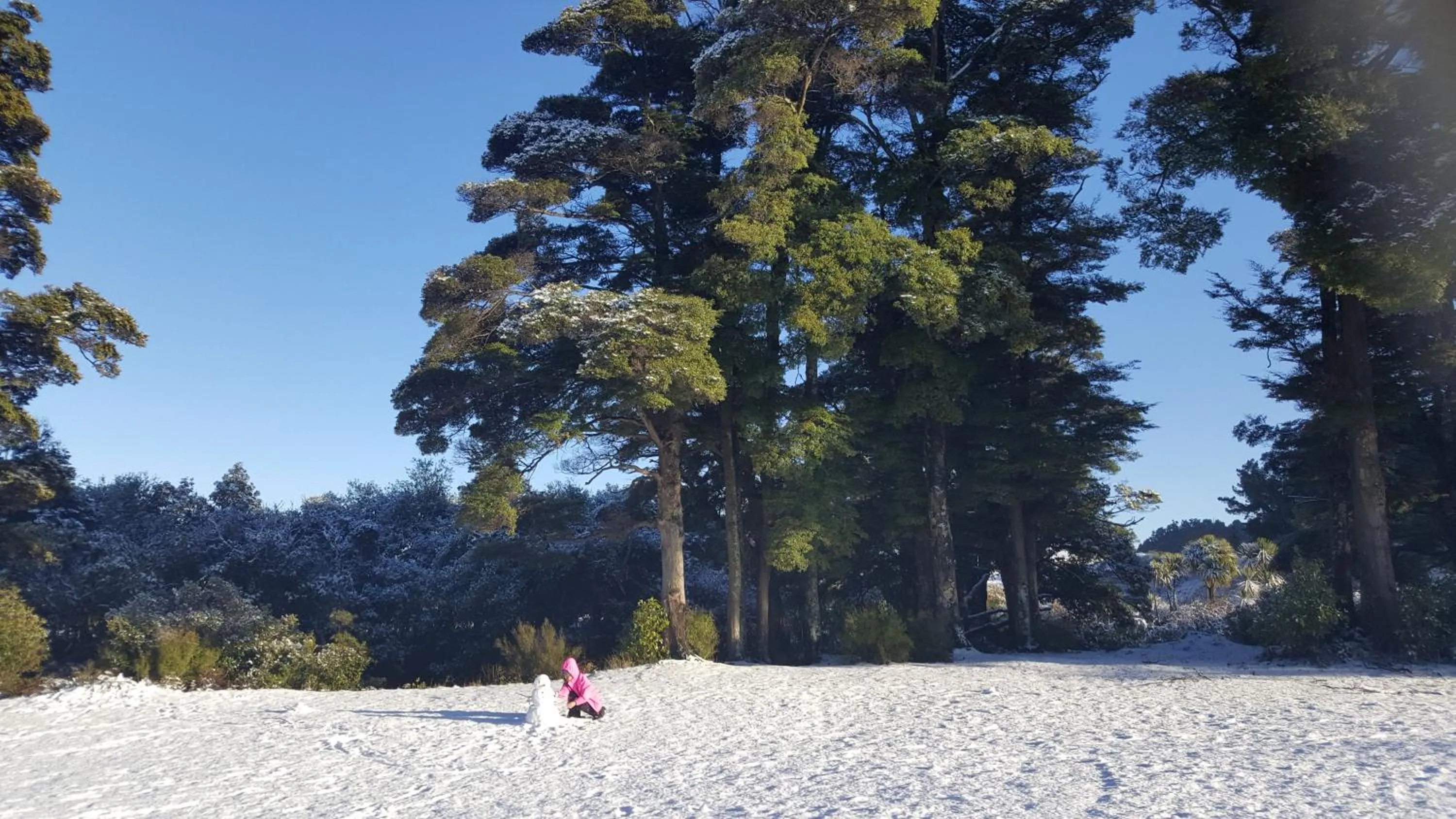 Ruapehu Mountain Motel & Lodge