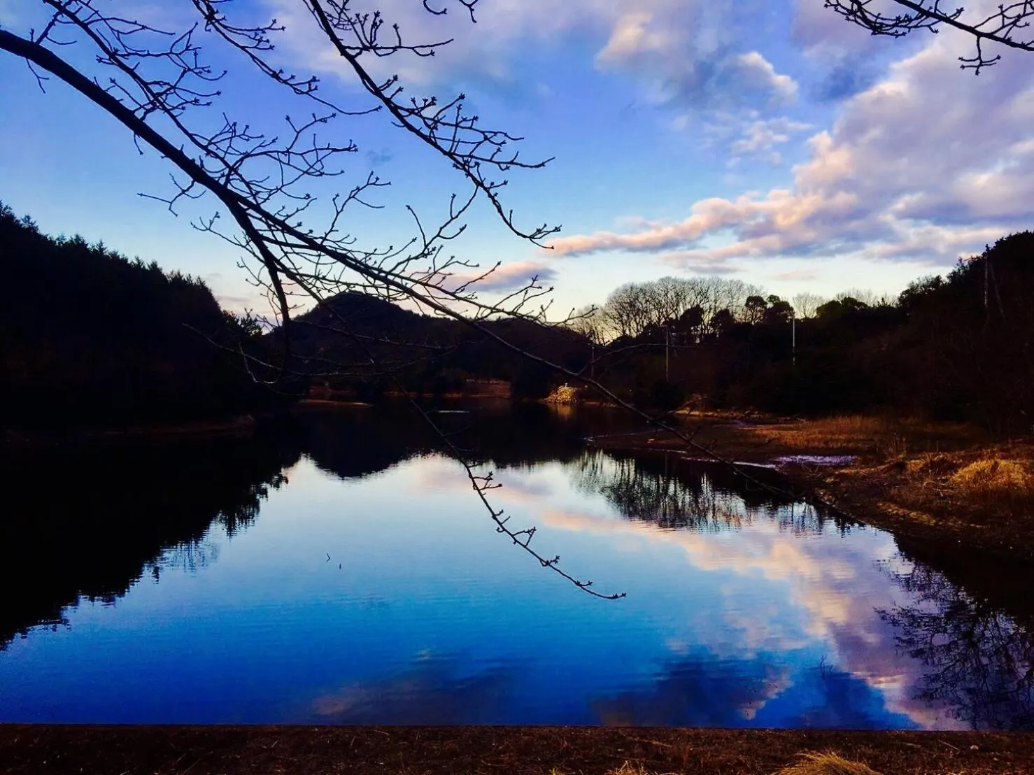 Naoshima Backpackers Guesthouse