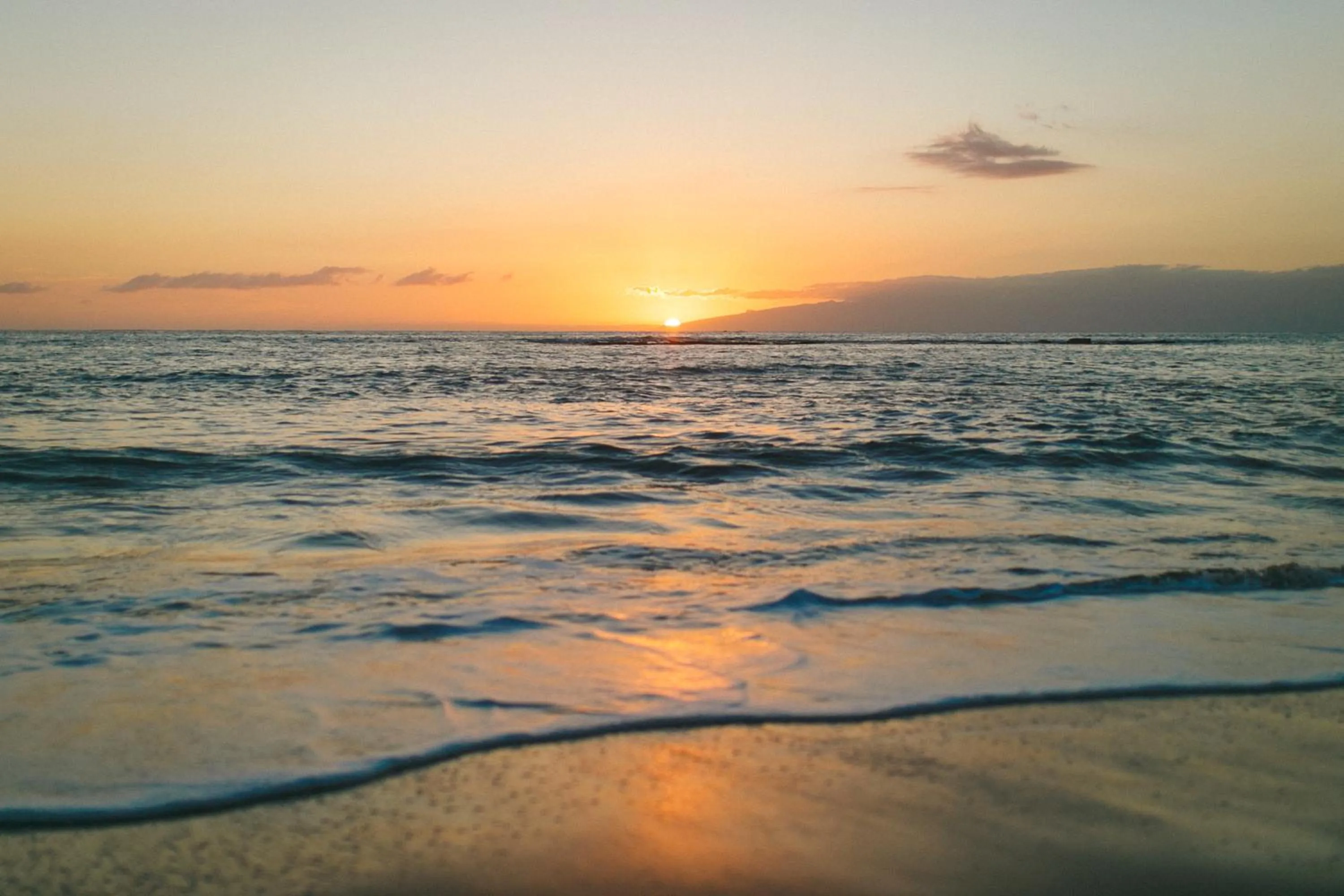 Natural landscape in Los Olivos Beach Resort