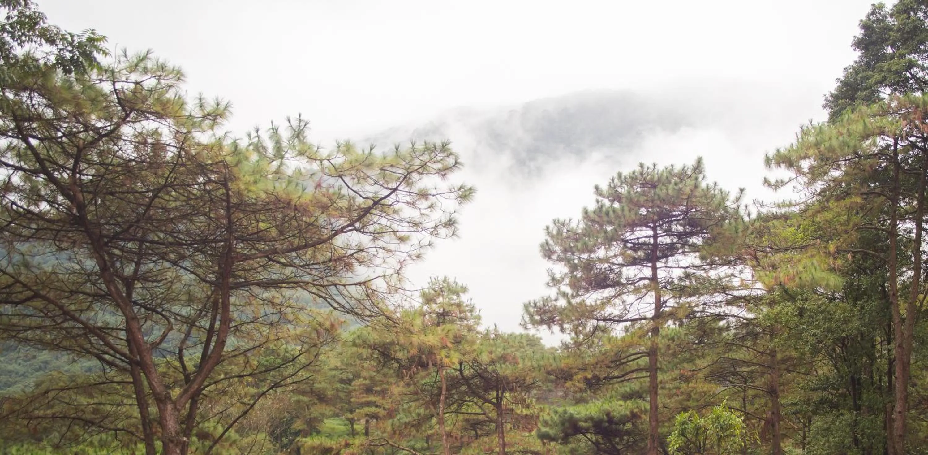 Mountain view in Melia Ba Vi Mountain Retreat