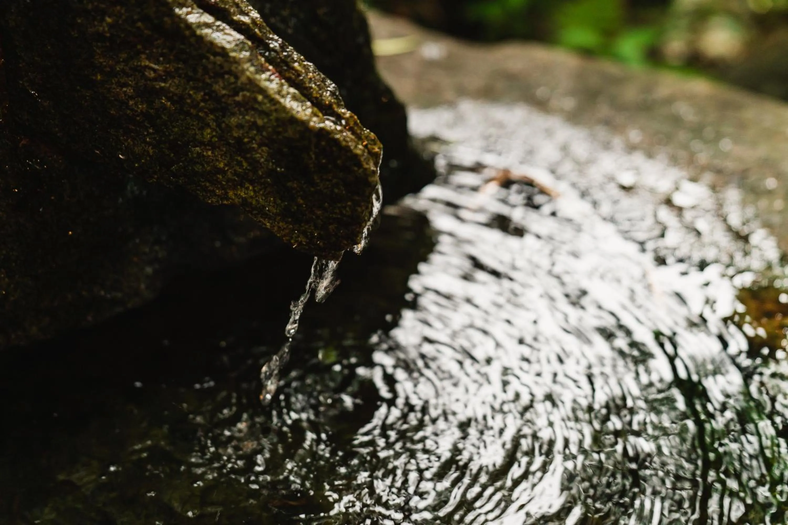 Facade/entrance in AKARI et KAORI formerly Taizanso