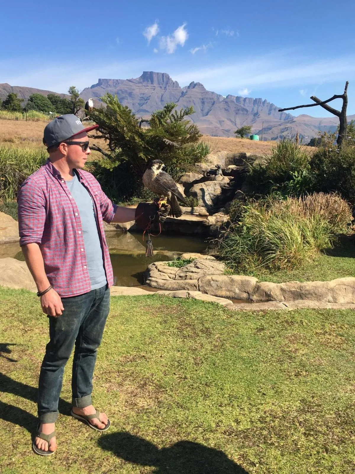 Area and facilities in The Nest Drakensberg Mountain Resort Hotel