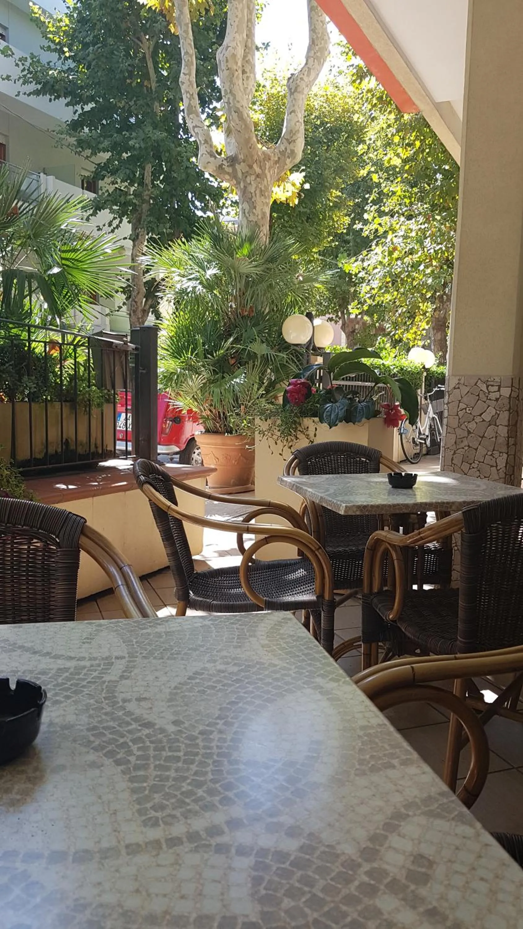 Garden in Hotel De La Plage