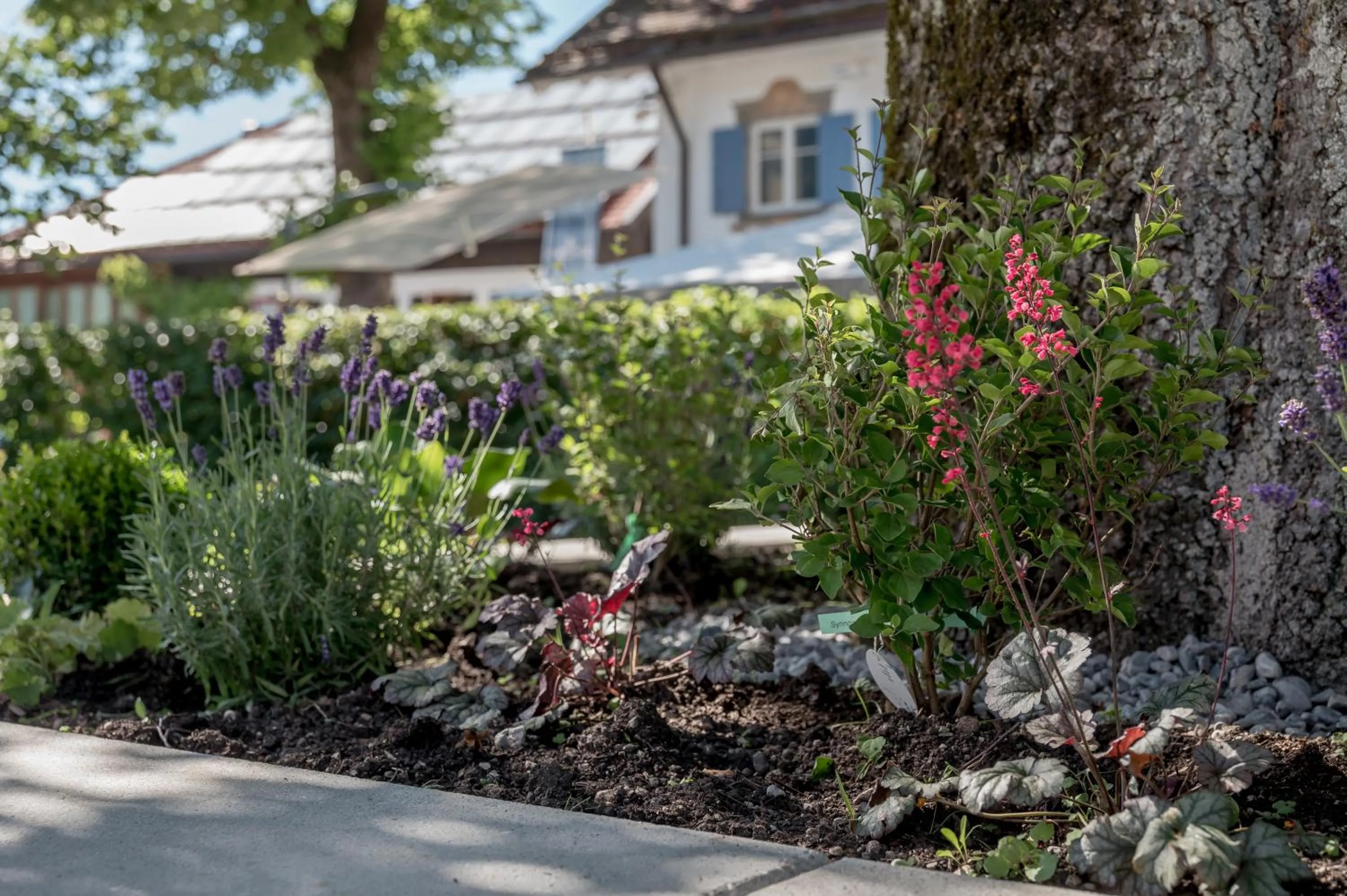 Day in Alpenhotel Krone