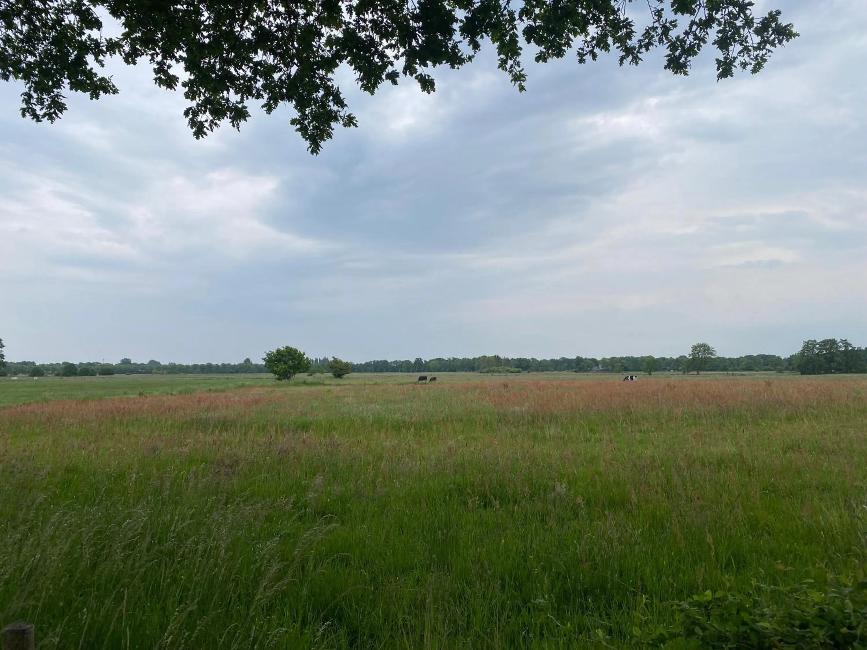 Garden view in Kindvriendelijk appartement de Hooge Stukken onder de rook van Groningen