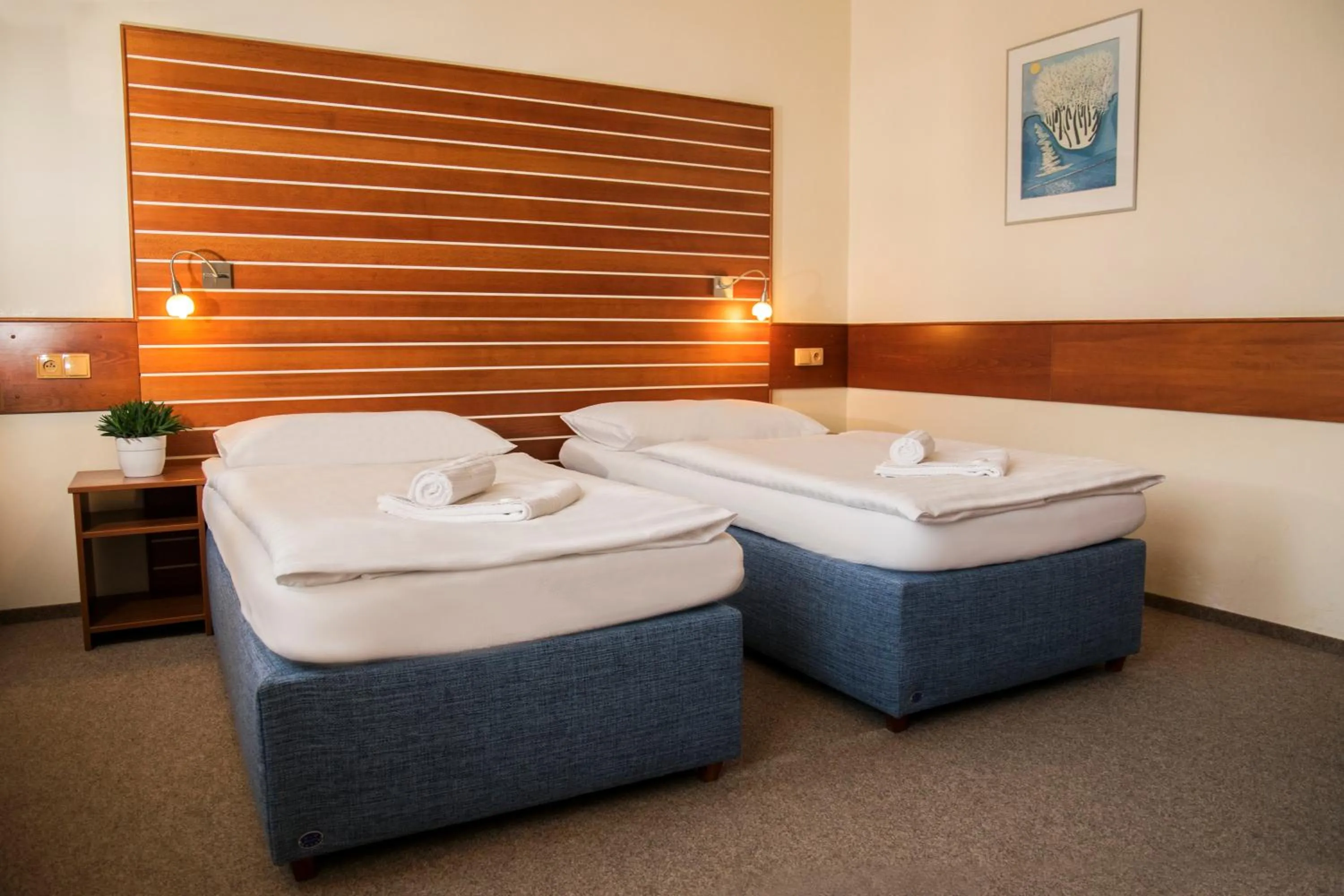 Photo of the whole room, Bed in Hotel Karel IV.