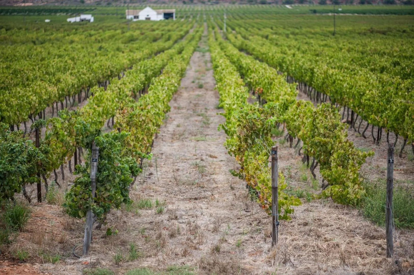 Landmark view in Excelsior Manor Guesthouse