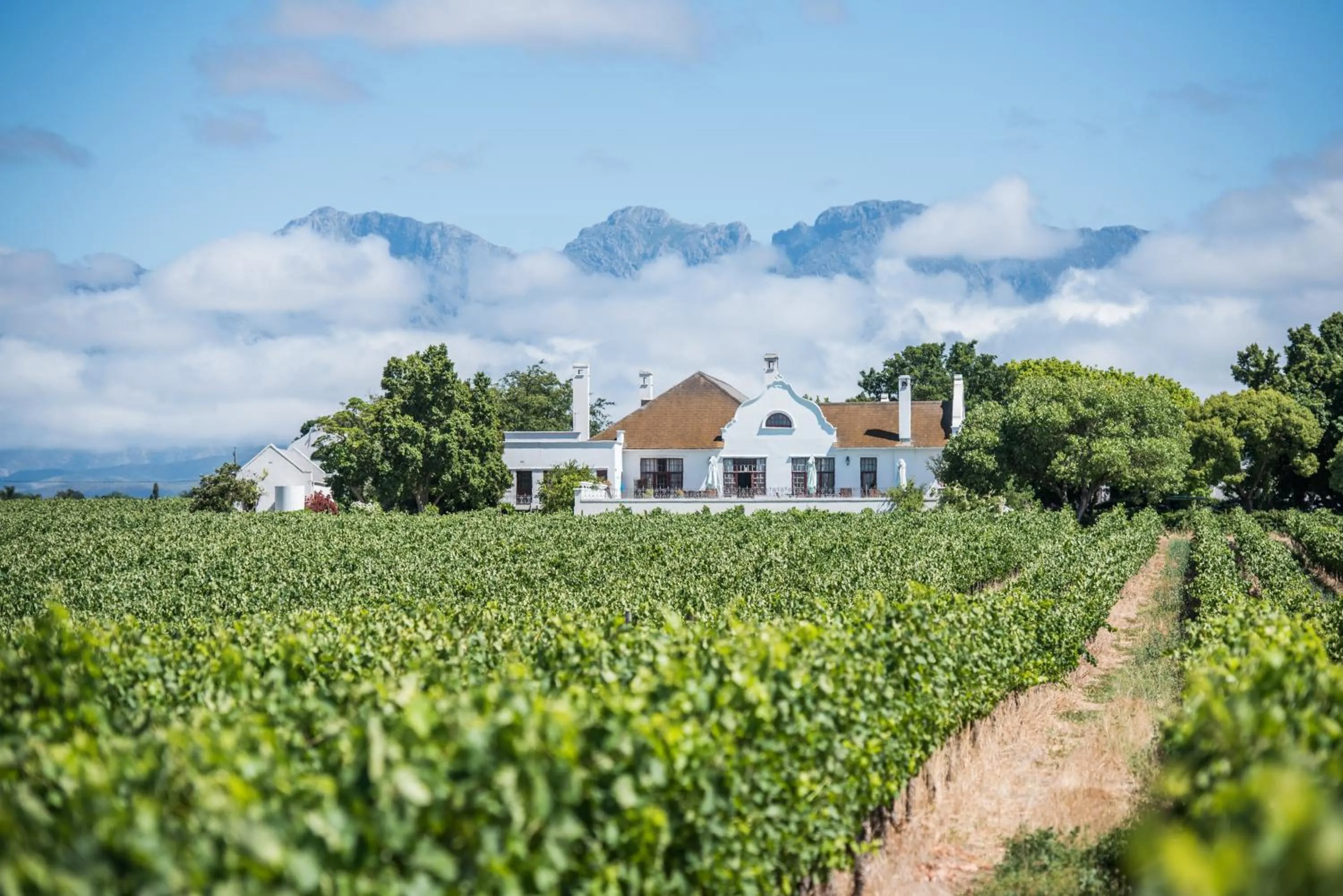 Natural landscape in Excelsior Manor Guesthouse