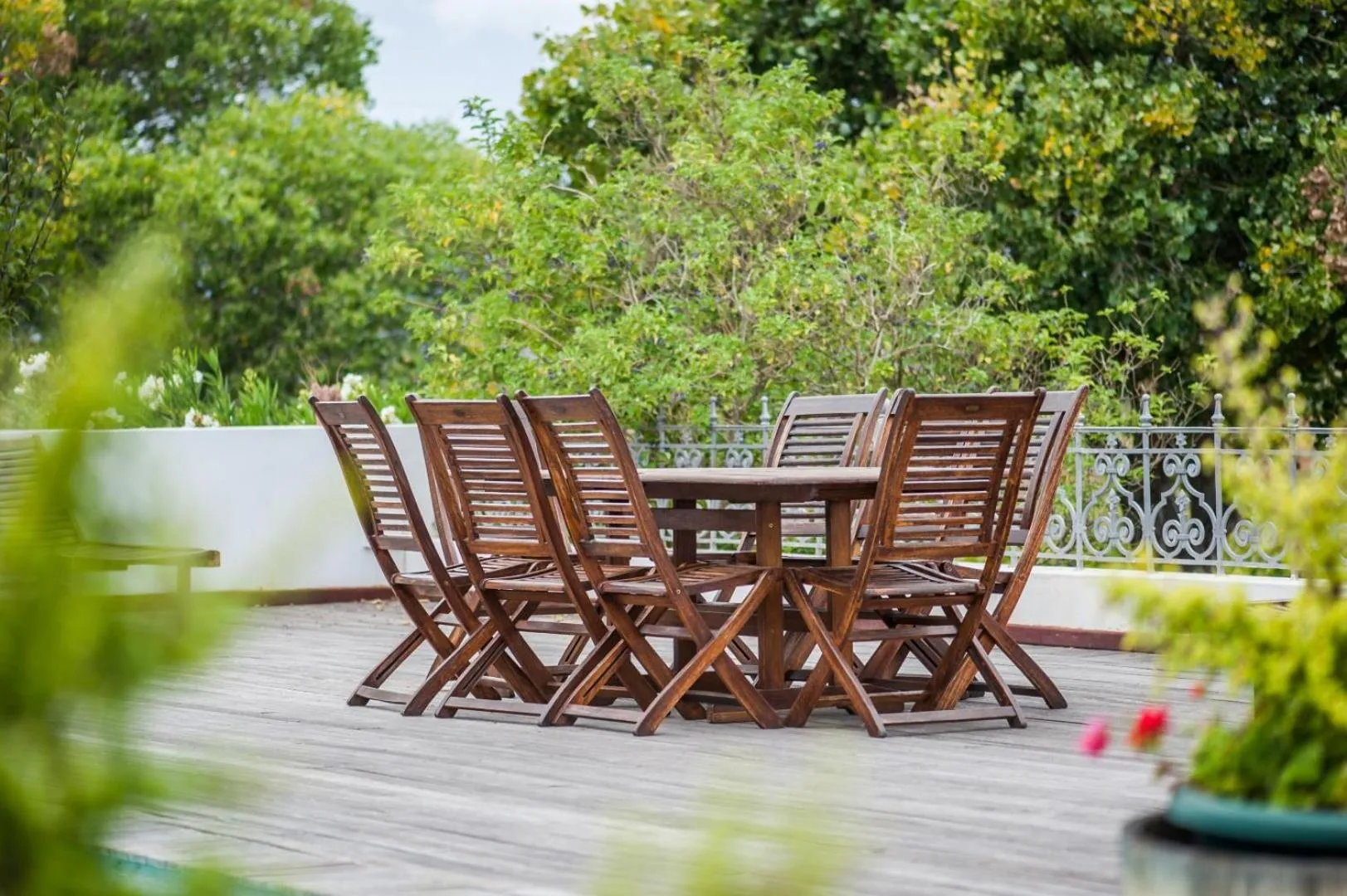 Garden in Excelsior Manor Guesthouse