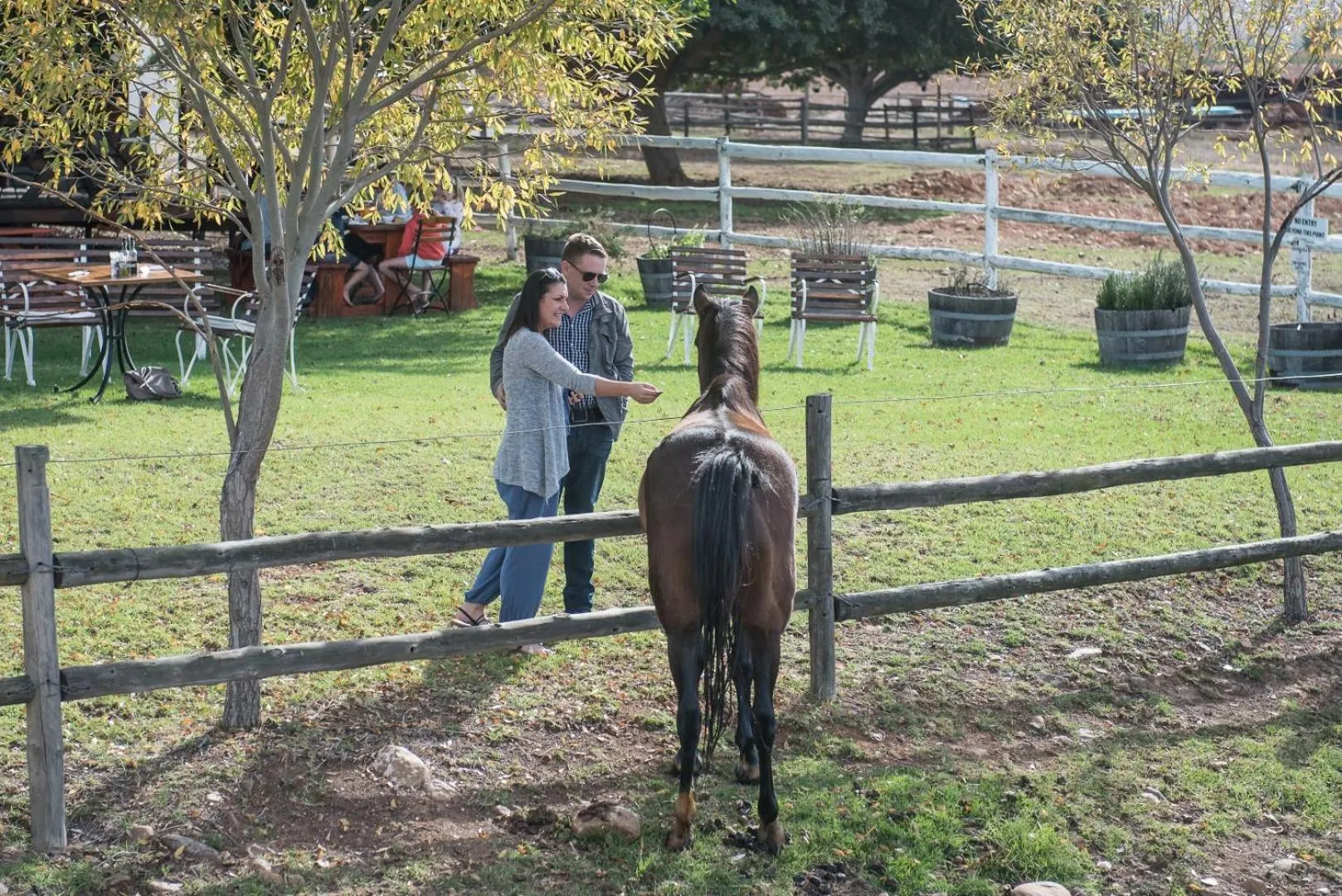 Animals in Excelsior Manor Guesthouse