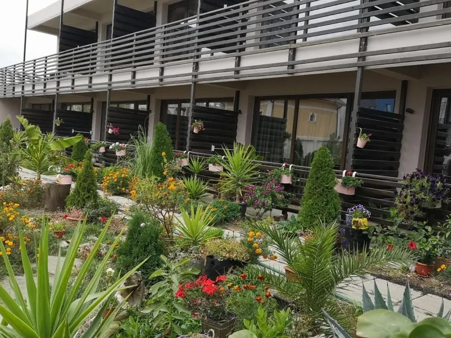 Dream Resort (Adults only 14+)