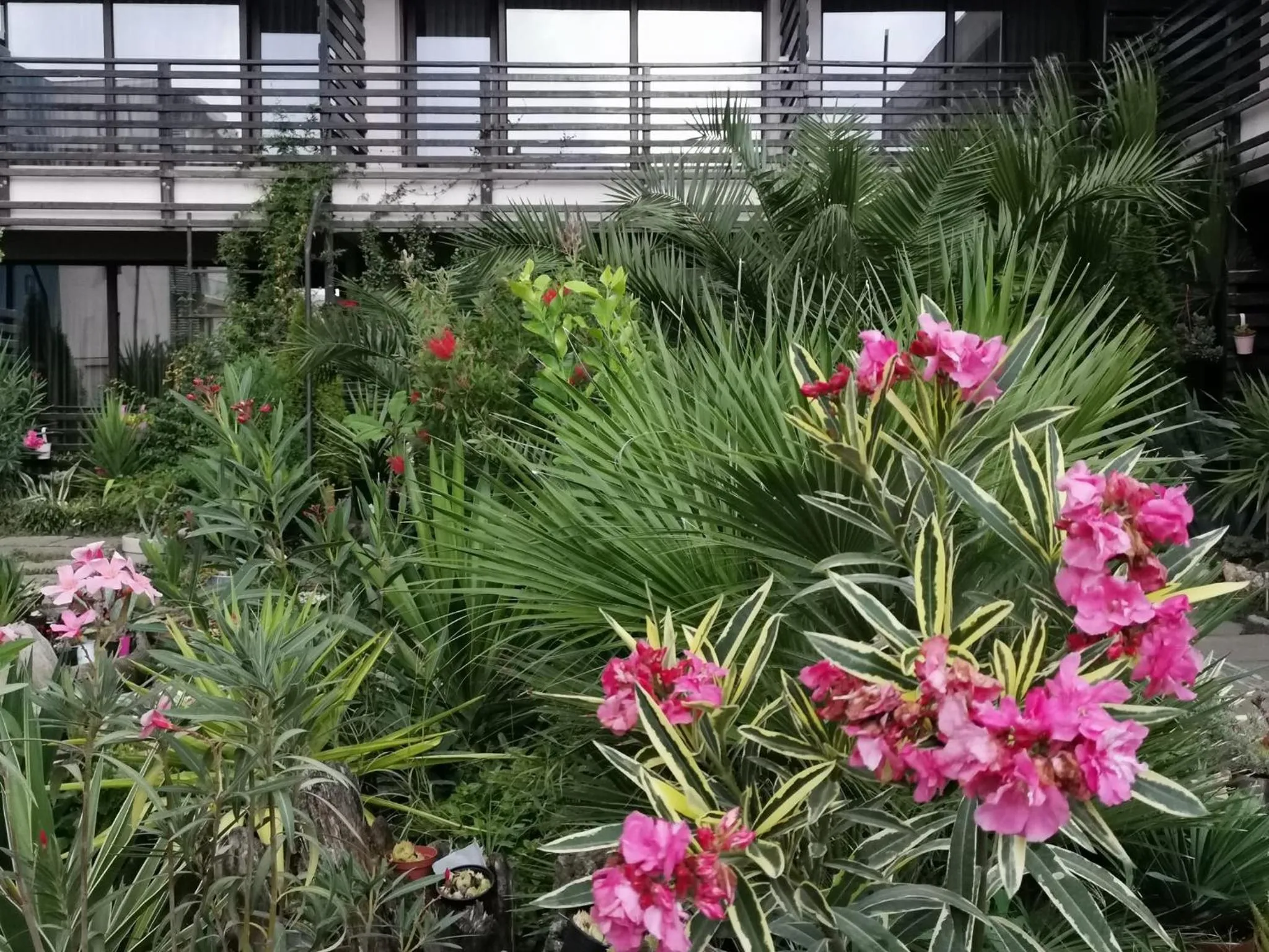 Dream Resort (Adults only 14+)