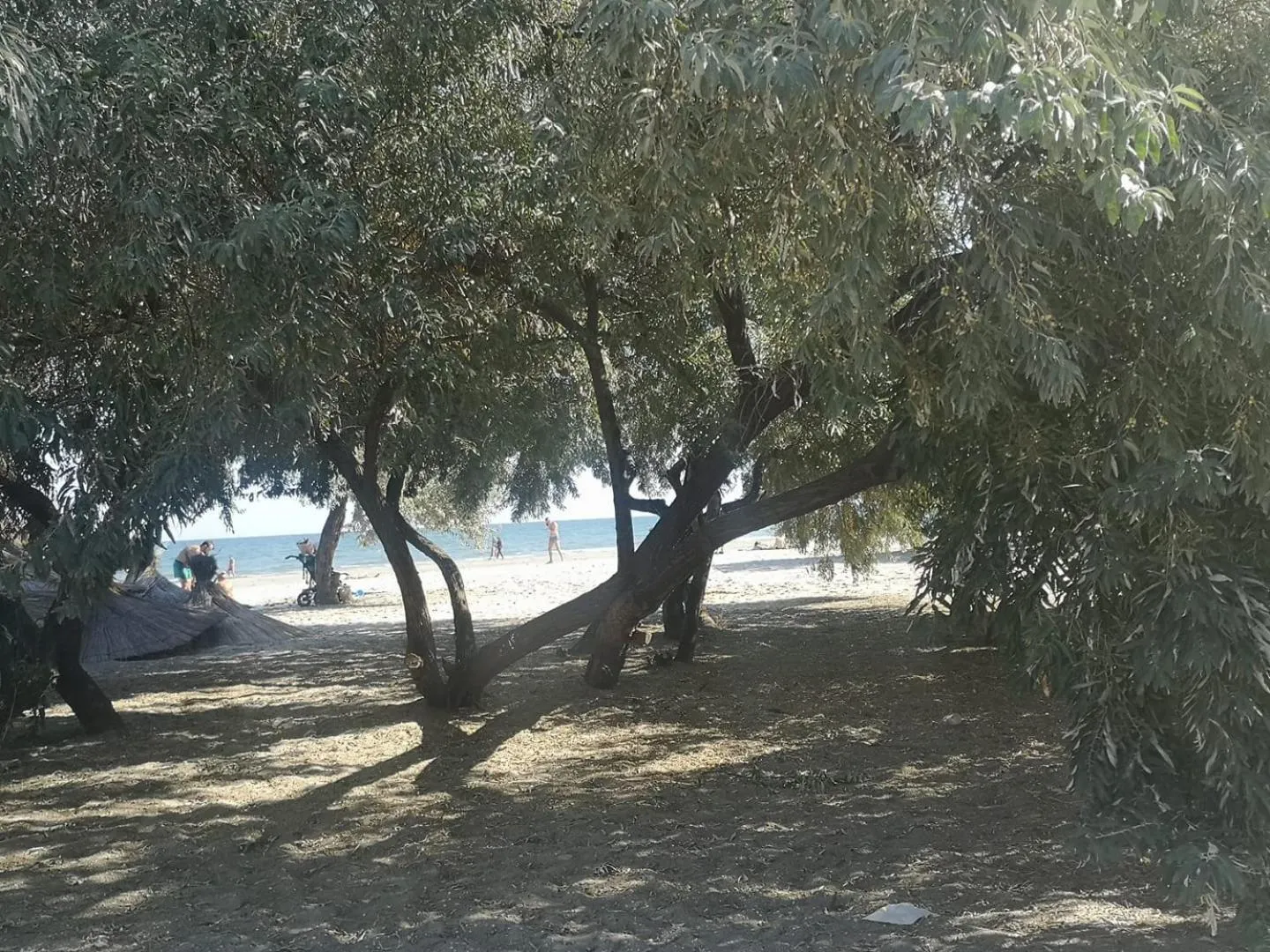 Dream Resort (Adults only 14+)