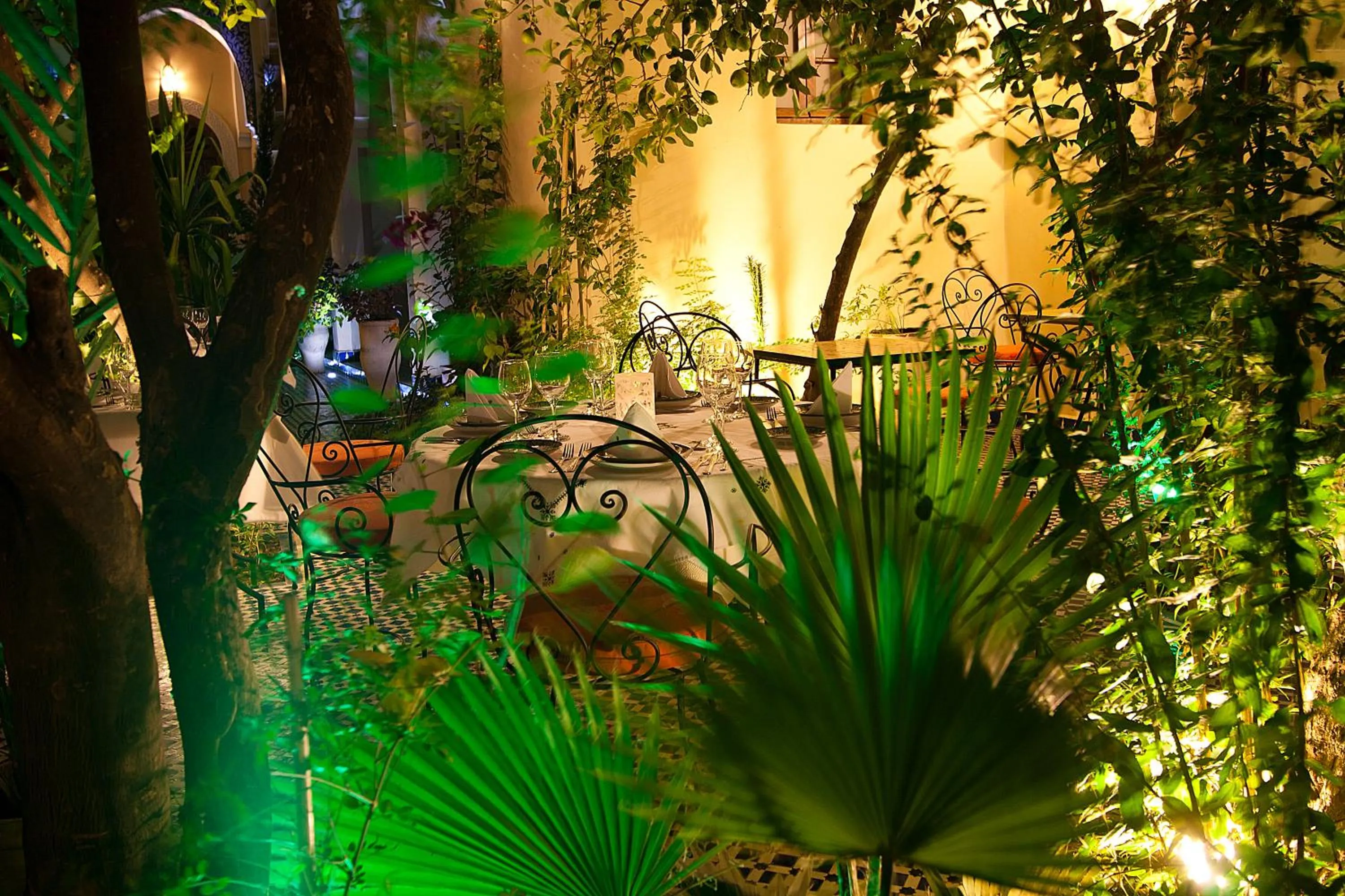 Garden in Ryad Salama