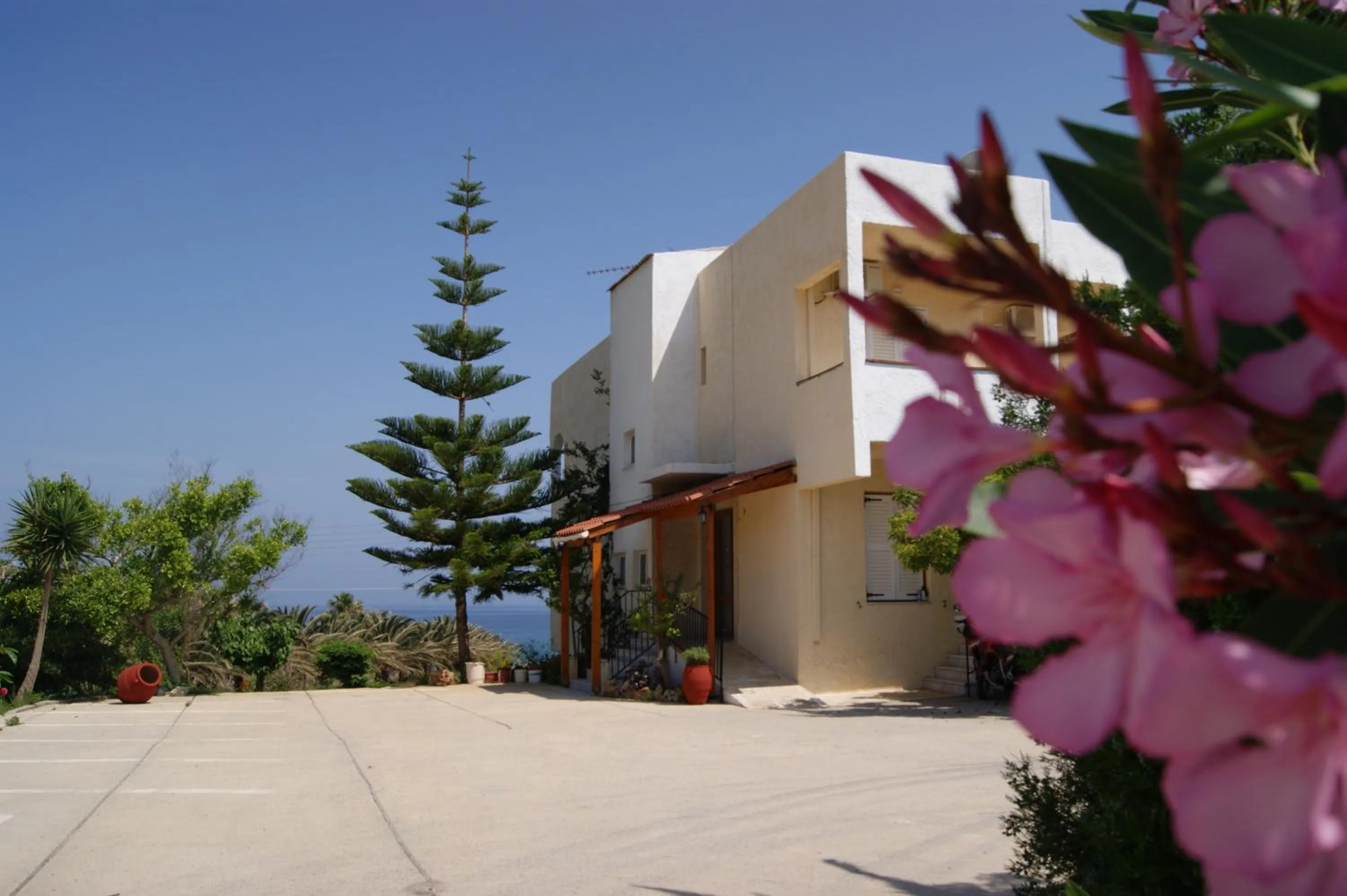 Bird's eye view in Babis Hotel