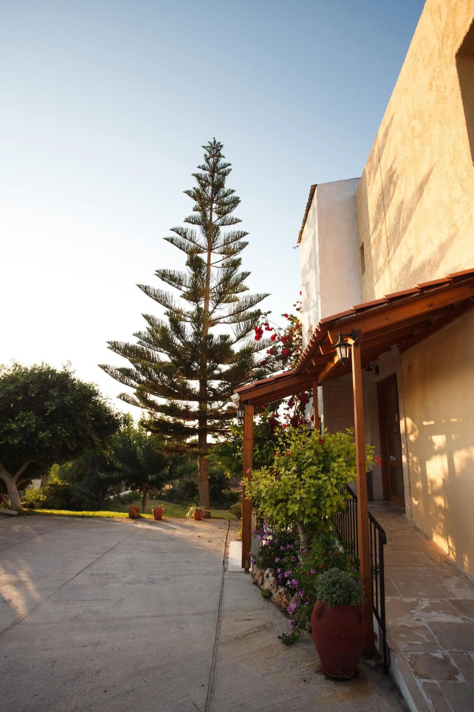 Bird's eye view in Babis Hotel