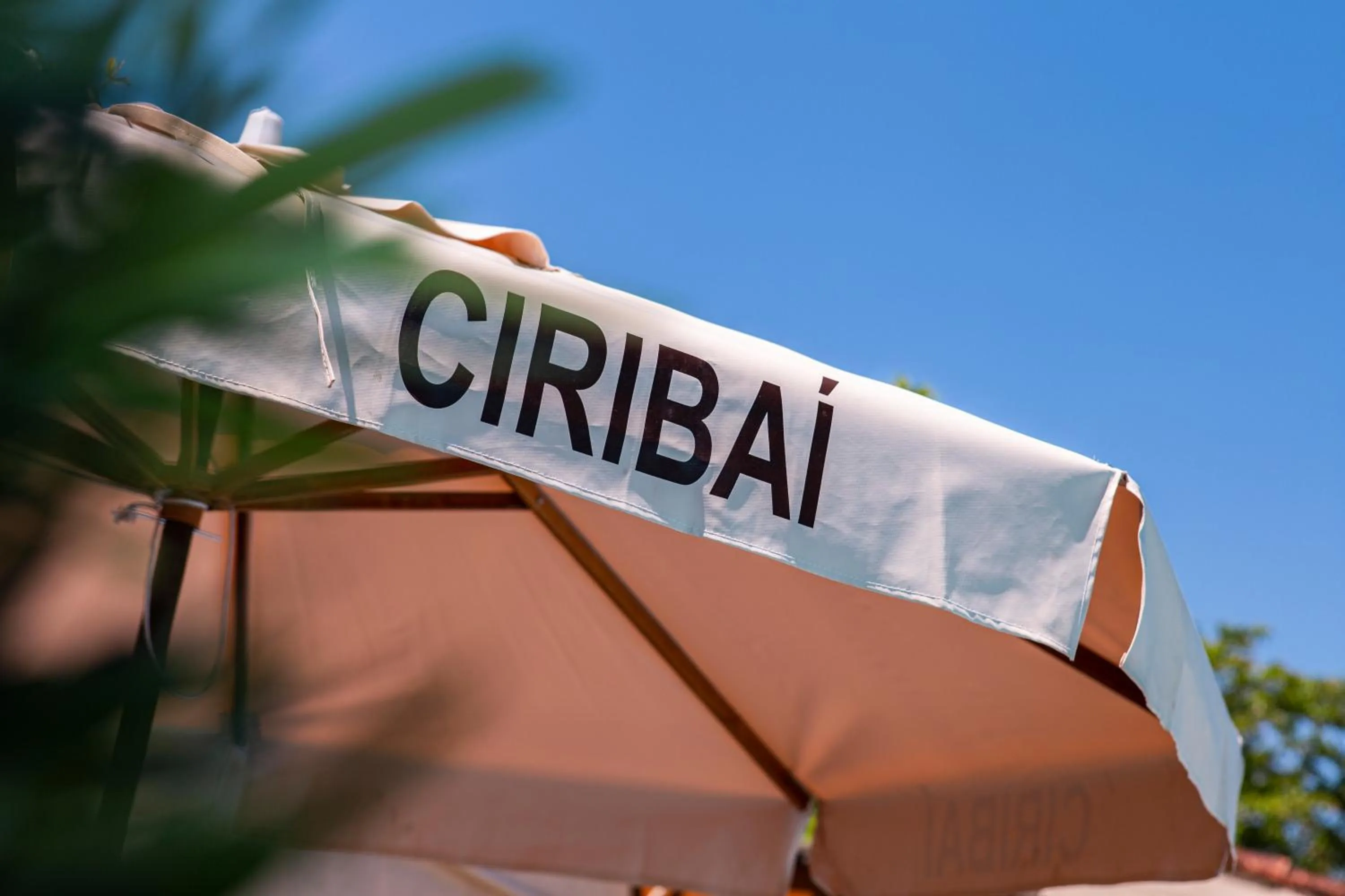 Swimming pool in Ciribaí Praia Hotel