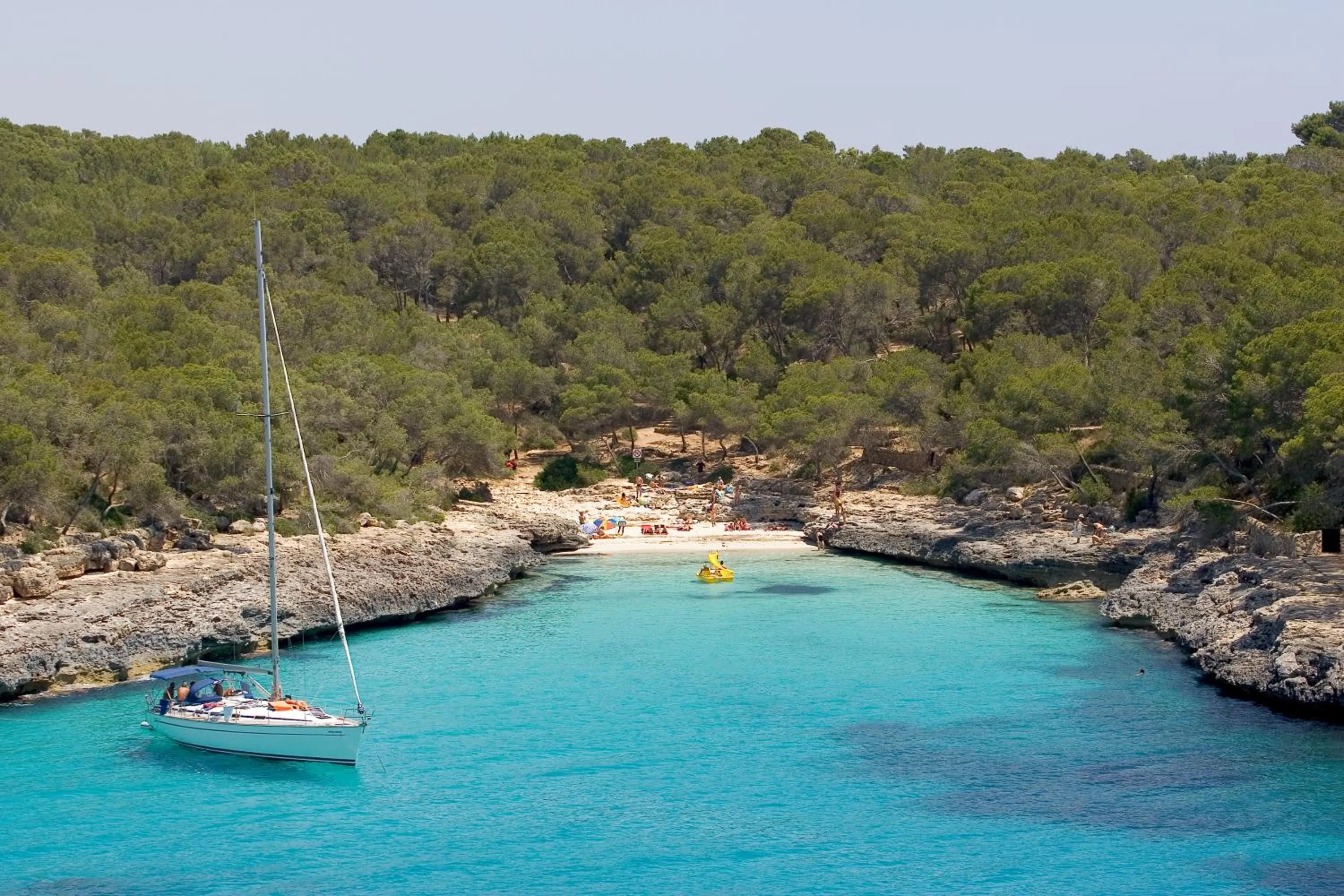 Natural landscape in Hotel Playa Mondrago