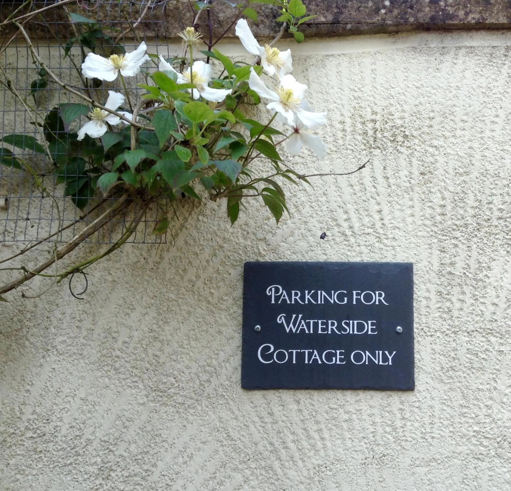 Waterside Cottage Bed and Breakfast