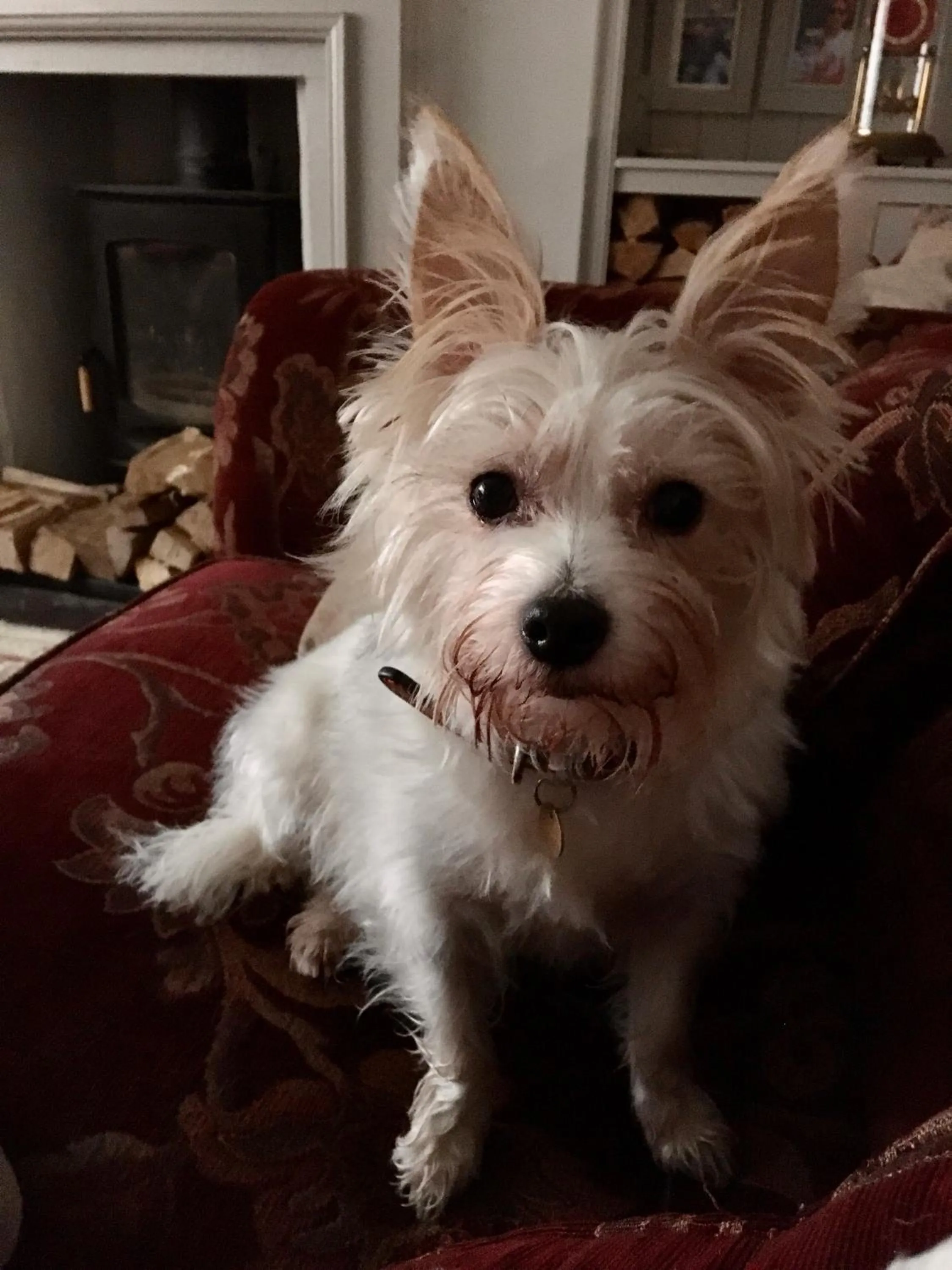 Waterside Cottage Bed and Breakfast