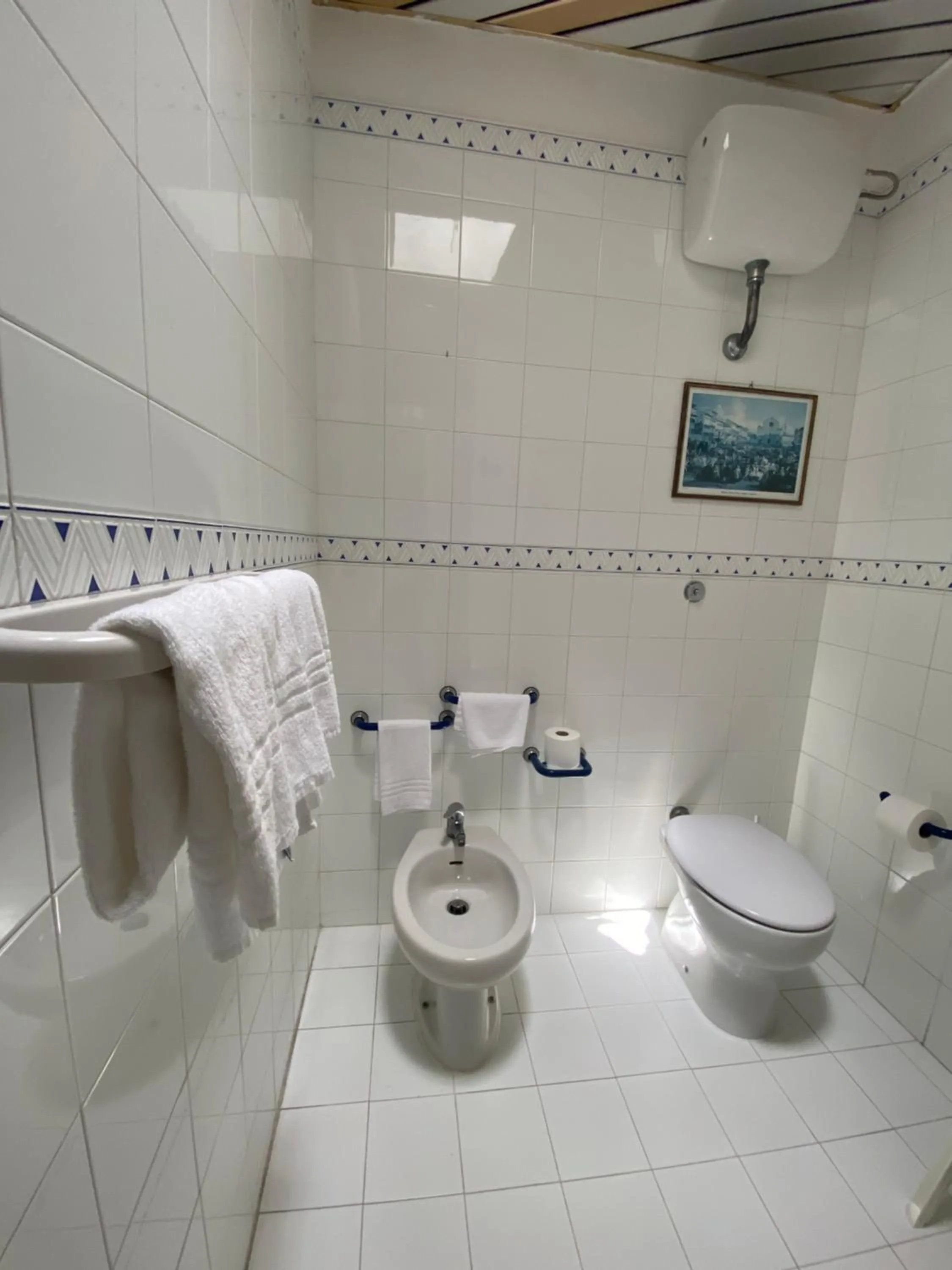 Toilet in Hotel Solemare Beach & Beauty SPA