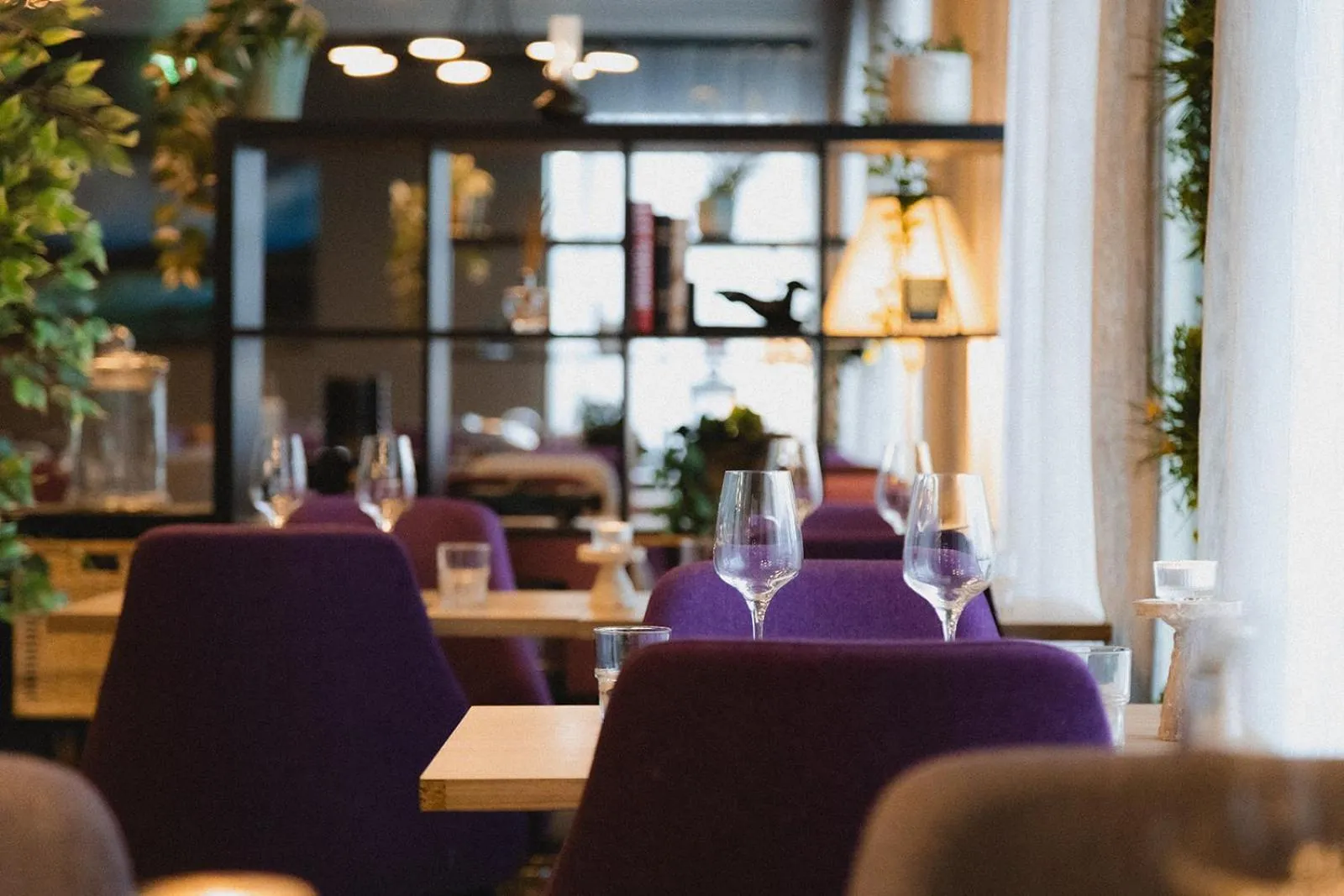 Restaurant/places to eat in Hótel Vesturland