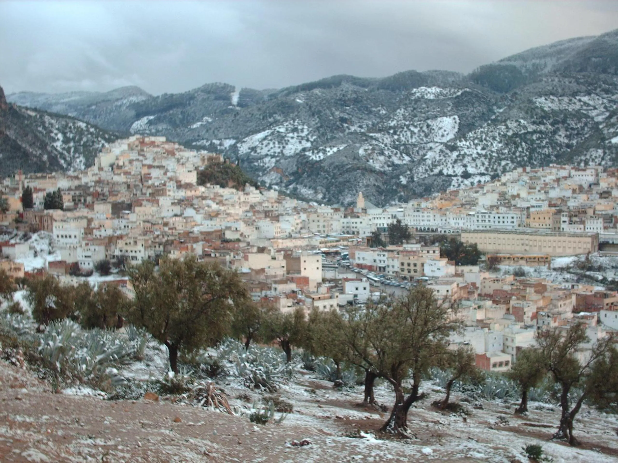 Al Andaloussiya Diyafa