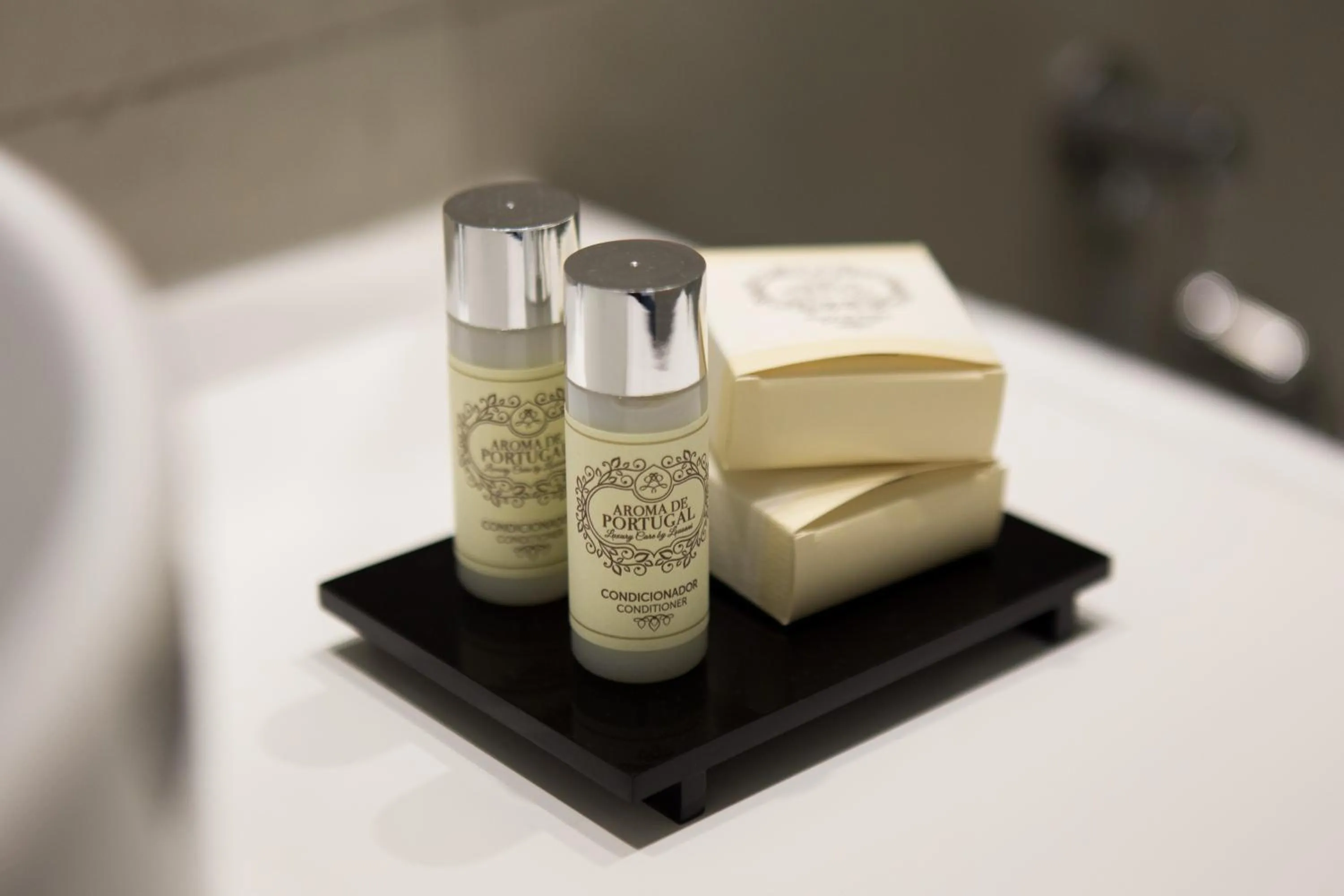 Area and facilities in Virtudes City Lofts