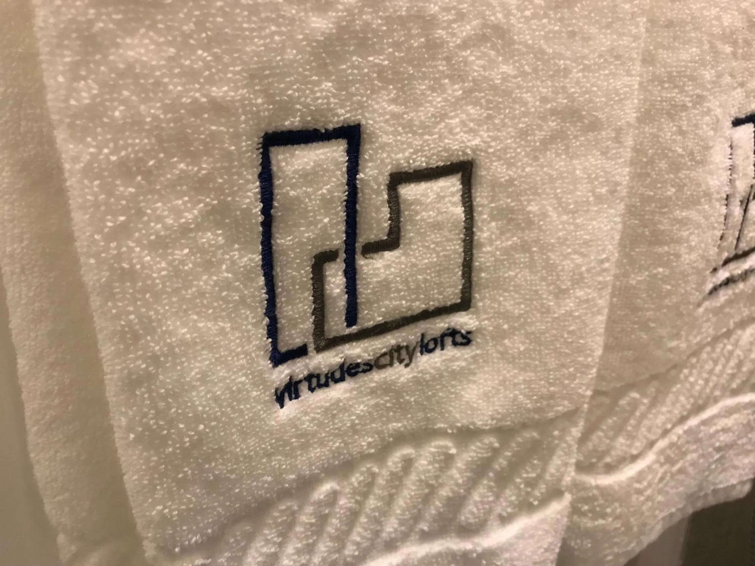 Decorative detail in Virtudes City Lofts