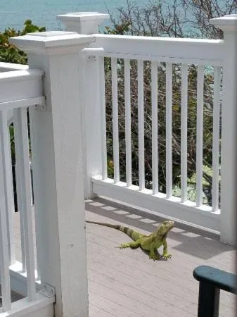 Coconut Beach Resort